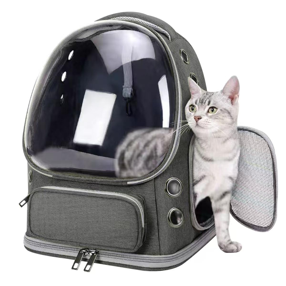 Amazon.co.jp: Z-ONE 猫 キャリーバッグ 猫 キャリー 犬 猫 リュック