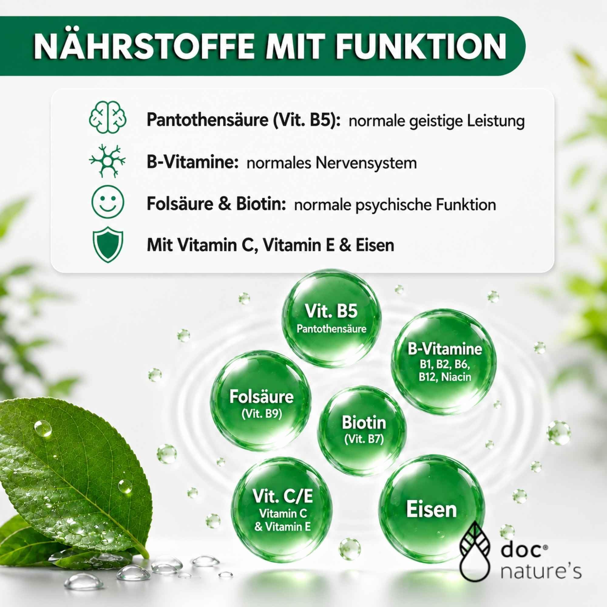 doc nature’s GINKGO+ Mentalstark Elixier, 1000 ml Vitamin B Komplex, unterstützt geistige Leistungsfähigkeit, mit Ginkgo Biloba & Ginseng-Extrakt, Vitamin B12, Pantothensäure & Eisen