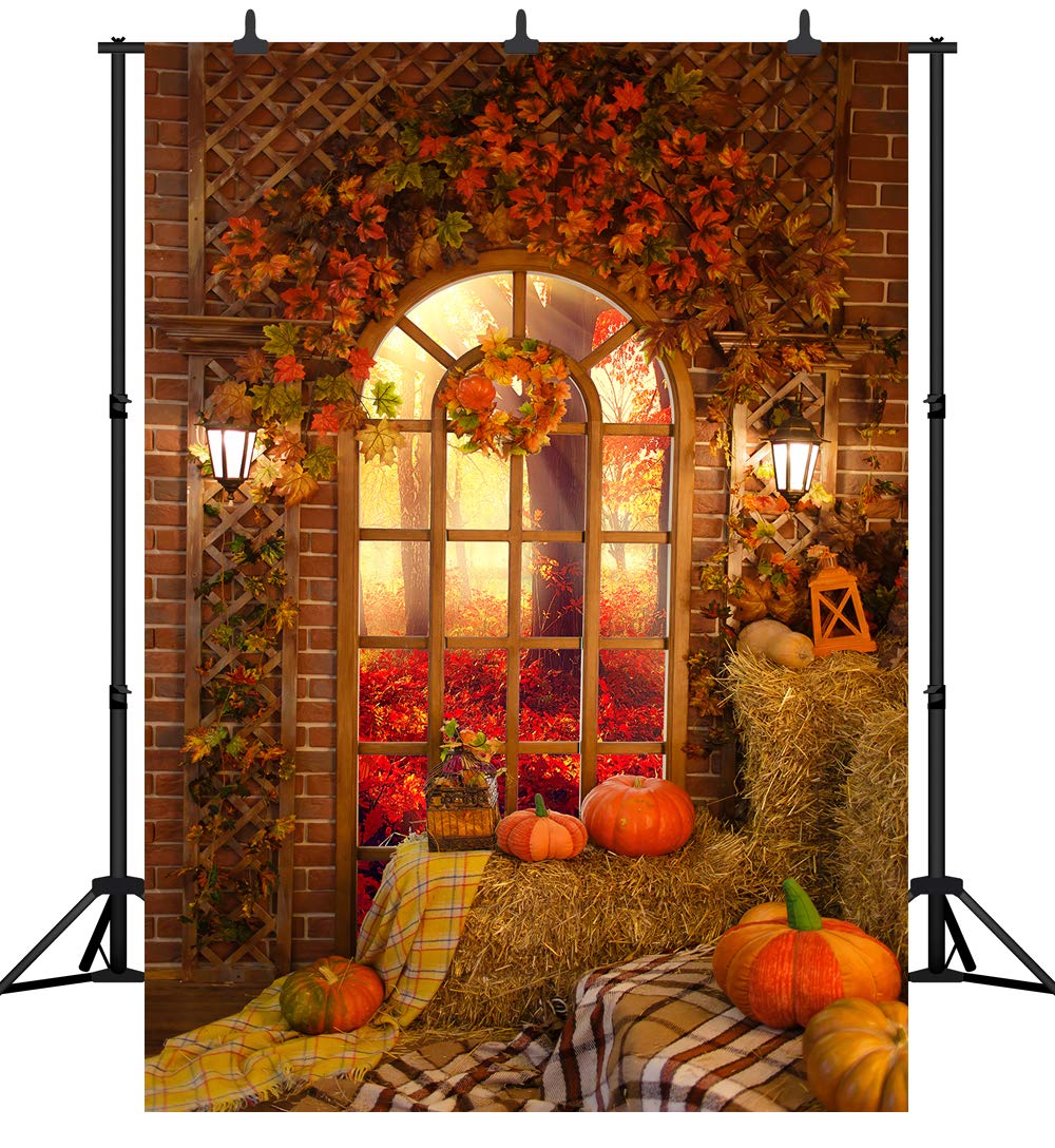 Fall Thanksgiving Harvest Photography Backdrop Pumpkin on Haystack in Front of Window Halloween Background Portrait Party Decoration Vinyl Photo Studio Booth Props PGT558B 6x9ft