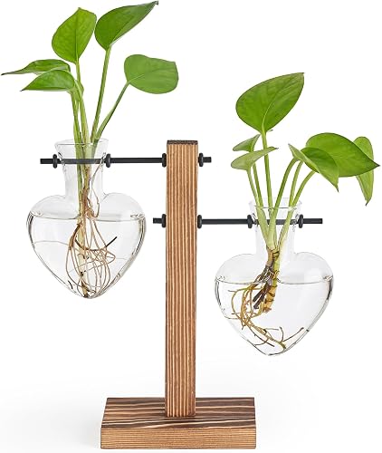 Mkono Propagation Stations,2 Heart Shaped Glass Plant Vases with Wood Stand | Hydroponic Terrarium, Desktop Propagation Jars, Cute Air Plant Flower Holder,Home Office Decor, Plant Lover Gardening Gift