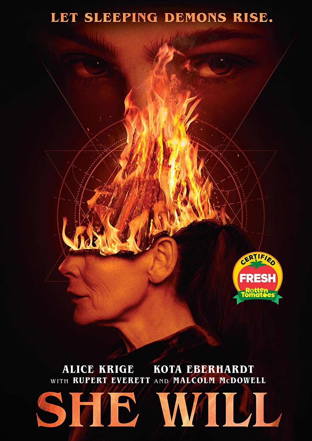 She Will DVD formato físico de cine norteamericano importado para reproductores compatibles