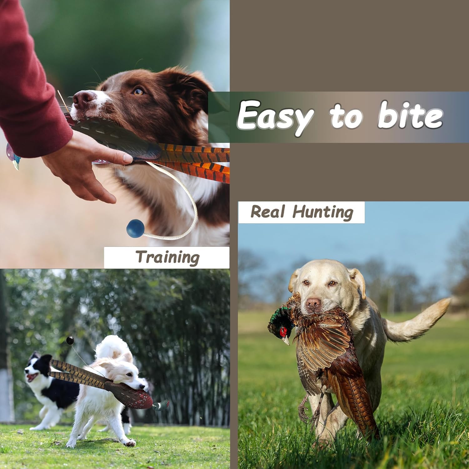 Dummy Jouet d'entraînement pour Chien Jouet pour Chien Canard de Dressage pour Chien Jouet Colvert Canard de Chasse pour Chiots imitant Canard Dummy Tétine d'entraînement pour Chien