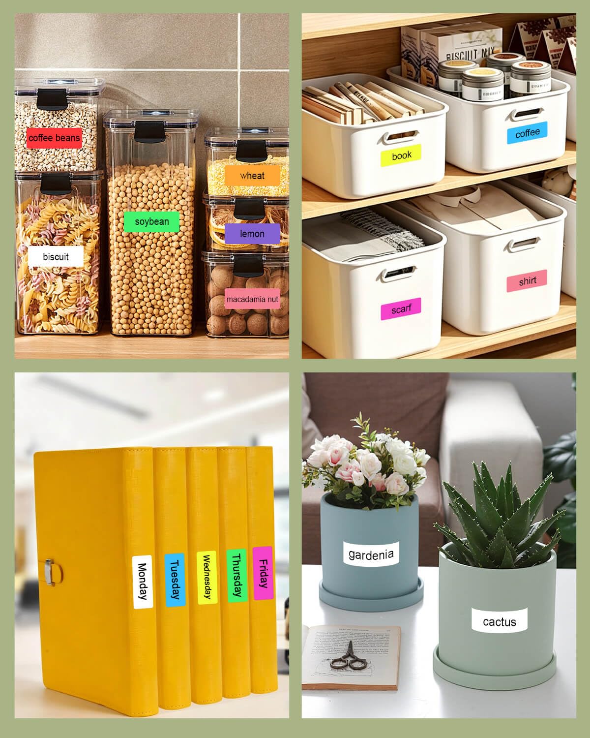 View 5