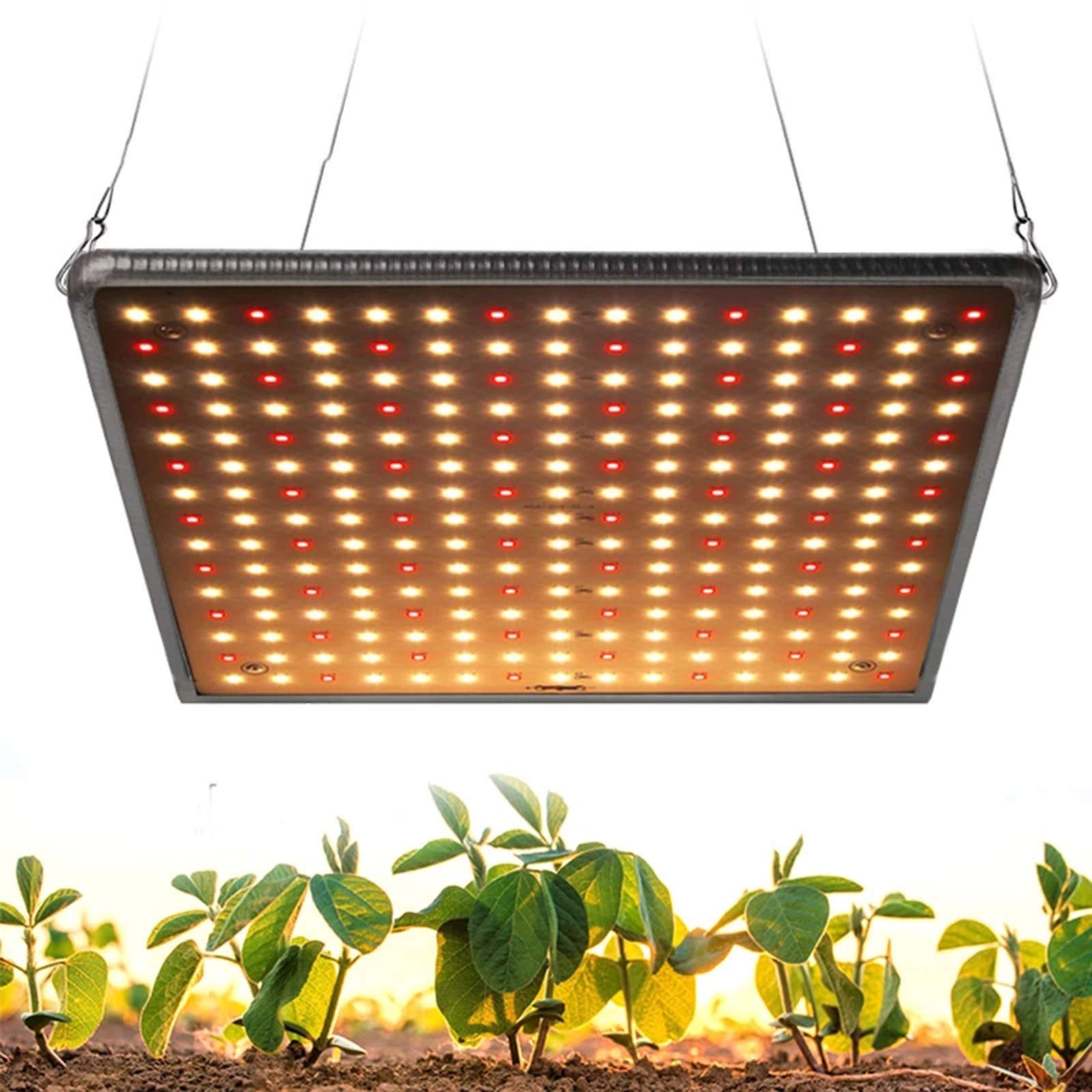 FAXIOAWA Luz LED de Cultivo, lámpara Phyto de 100W, luz cálida de Espectro Completo, Led Interior para Plantas, Hierbas, Flores, Crecimiento y floración, Caja de Tienda de Cultivo