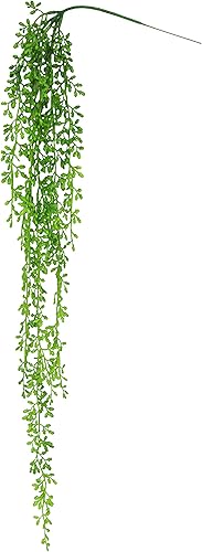 Unknown1 Cadena de perlas de cola de burro para suculentas, espray de vegetación colgante de 40 pulgadas, 40 pulgadas de largo x 8 pulgadas de