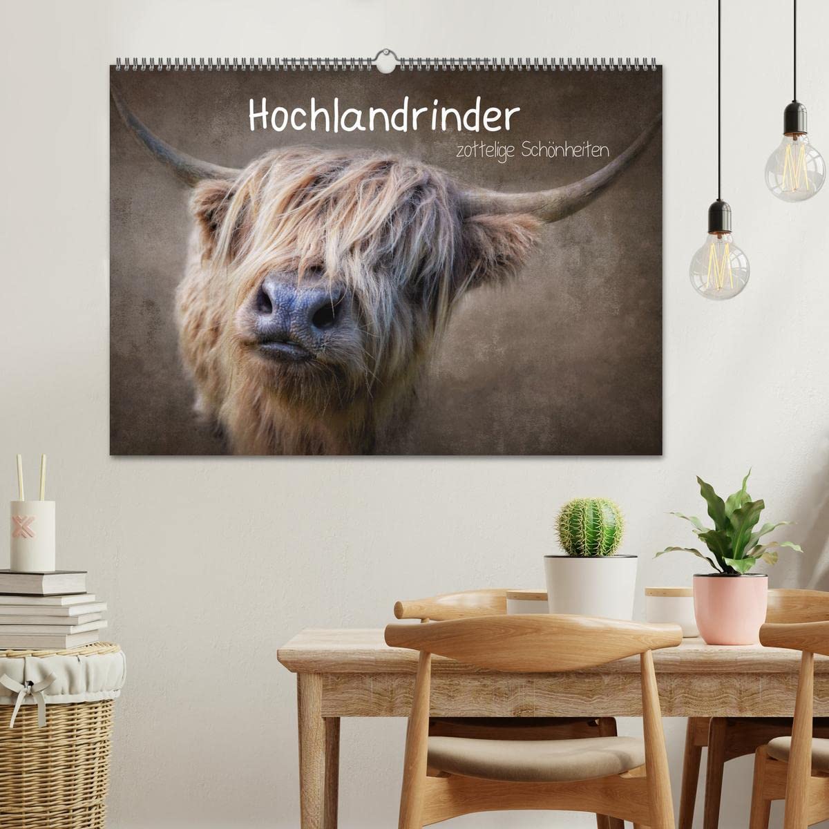 Hochlandrinder - Zottelige Schönheiten (Wandkalender 2026 DIN A2 quer), CALVENDO Monatskalender: Die Models unter den Kühen in eindrucksvollen Bildern (CALVENDO Tiere)