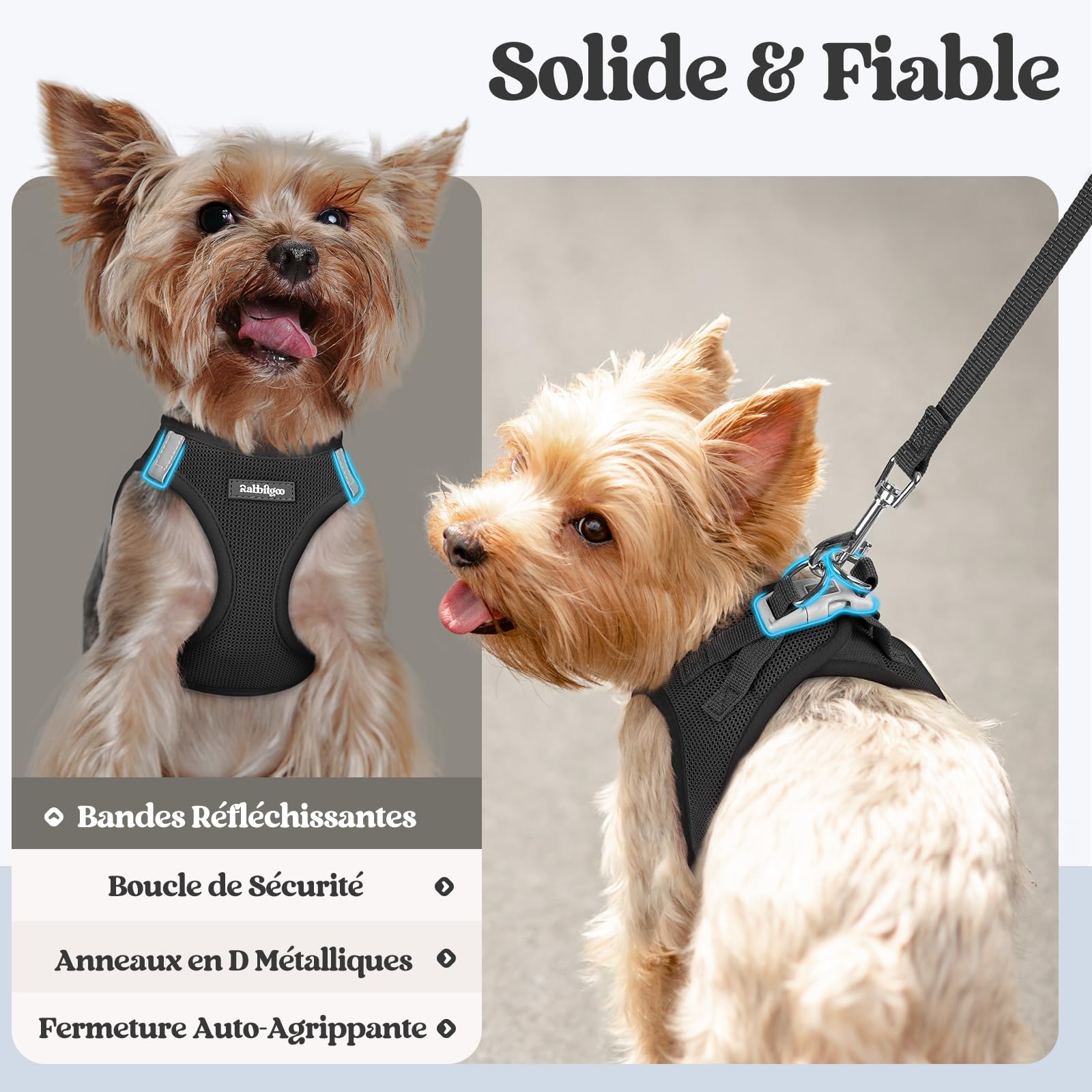 rabbitgoo Harnais Chien Petite Taille avec Laisse Réfléchissant, Harnais Chiot en Maille Souple, Gilet Réglable Facile à Mettre, Arnet pour Chien Petit et Moyen pour Marcher Courir, Noir S