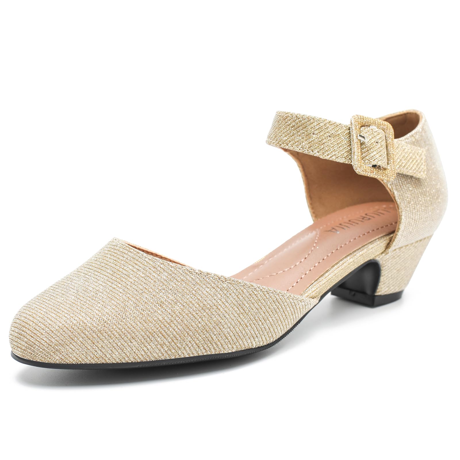 LIURUIJIAWomen's Closed Toe Low Chunky Heel Pumps Ankle Strap Dress Shoes  for Work Wedding Party Dance