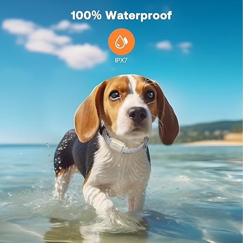 Miniatura 6 de PATPET Collar de entrenamiento para perros  IPX7 impermeable collar estático para perros pequeños, medianos y grandes, collar de entrenamiento