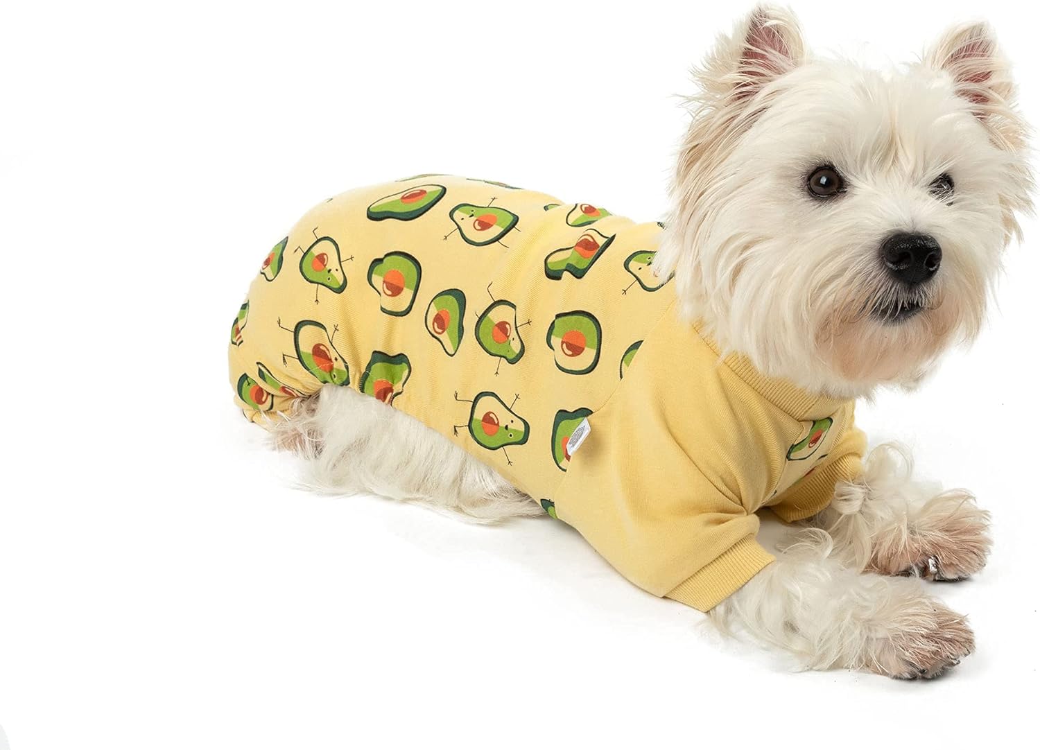 71yBwpCXJML. AC SL1500