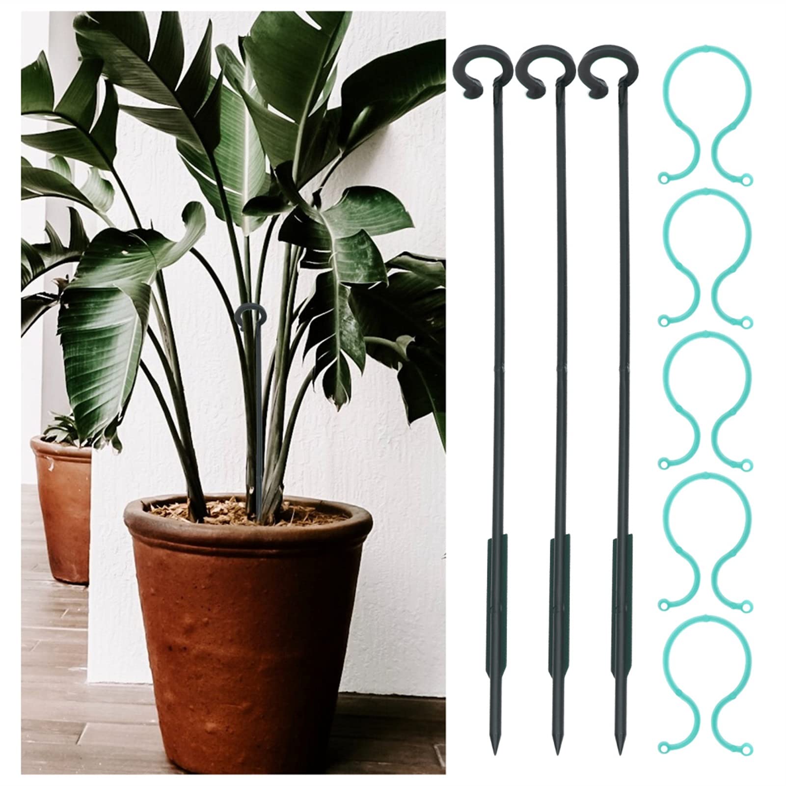 Saturey Tuteur Plante 1 Ensemble de tiges de Fixation de Plantes en Pot de Fleurs Polonais Bonsaï Support (Vert) Support pour Plantes De Jardin