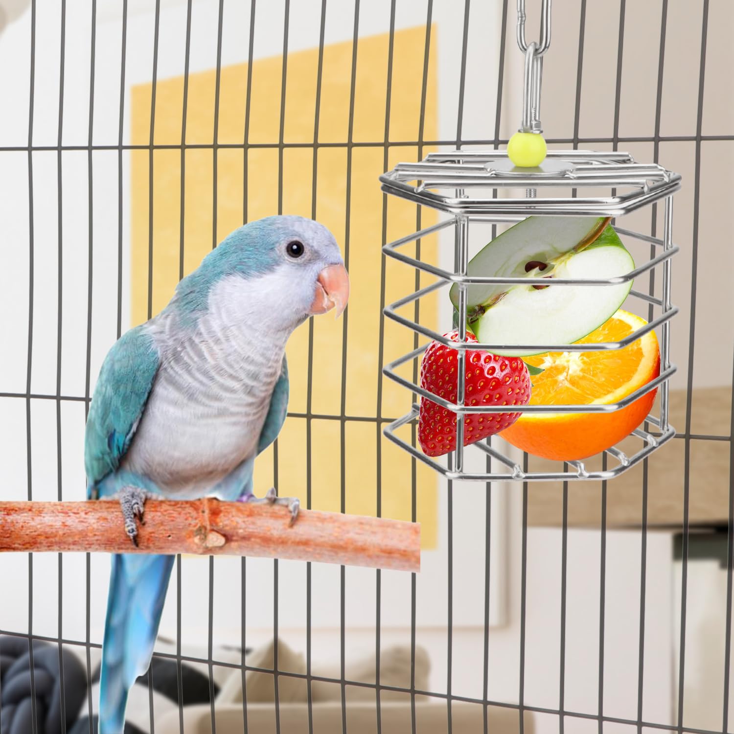 Hypeety Mangeoire unique à suspendre pour cage à oiseaux avec blocs