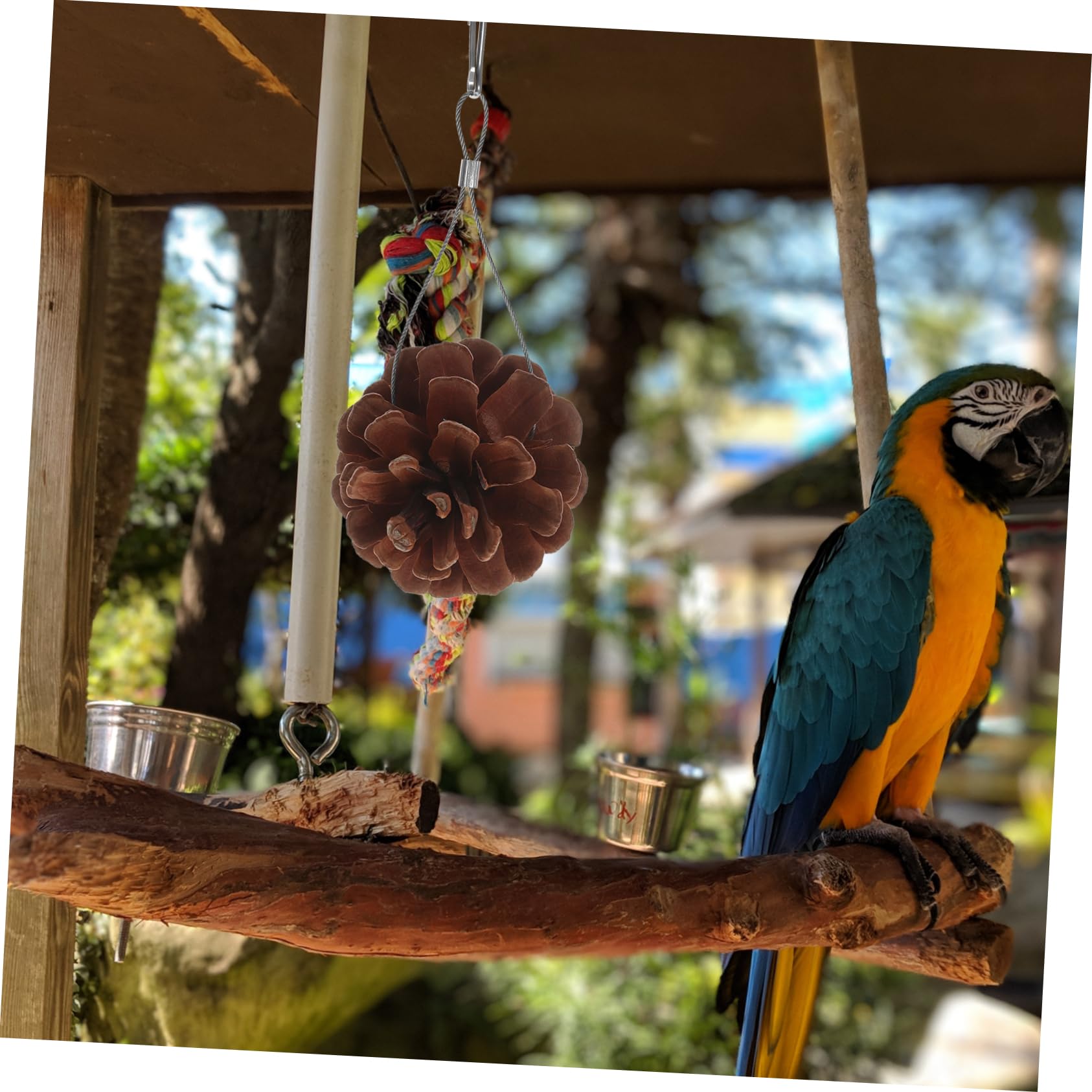 POPETPOP 30pièces Jouet à Mâcher pour Oiseaux Jouet Pomme De Pin Suspendu pour Perruches Et Perroquets Accessoire De Jeu Sûr Et