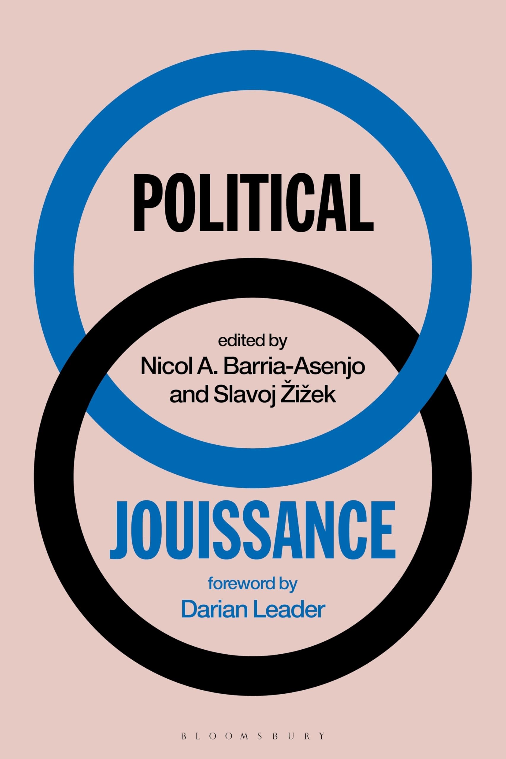 Political Jouissance (Paperback Book)