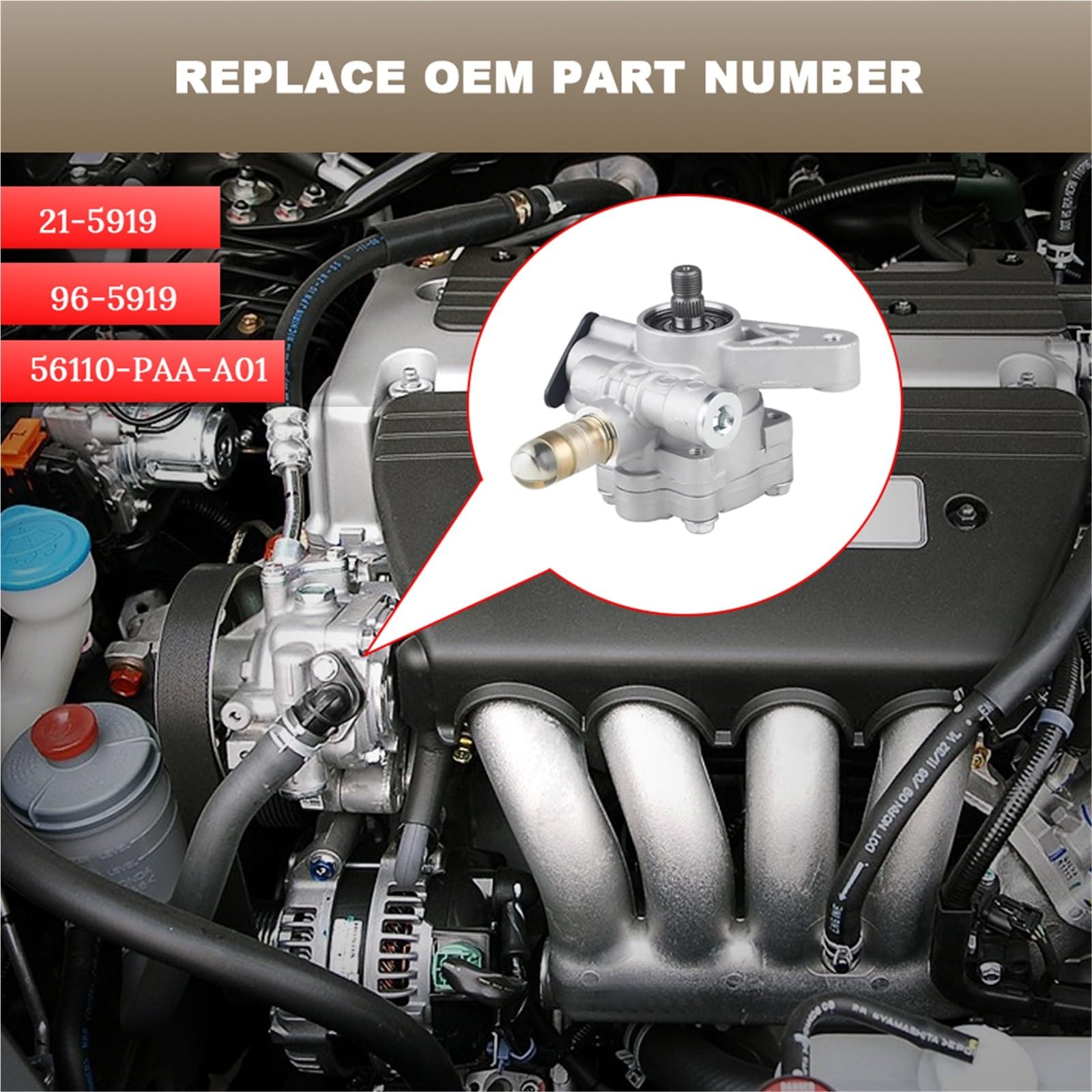Bomba Hidráulica de Dirección Compatible con Honda Accord 2.3L - 1998 1999 2000 2001 2002 Reemplazo para bomba de dirección asistida 21-5919, 96-5919, 56110-PAA-A01