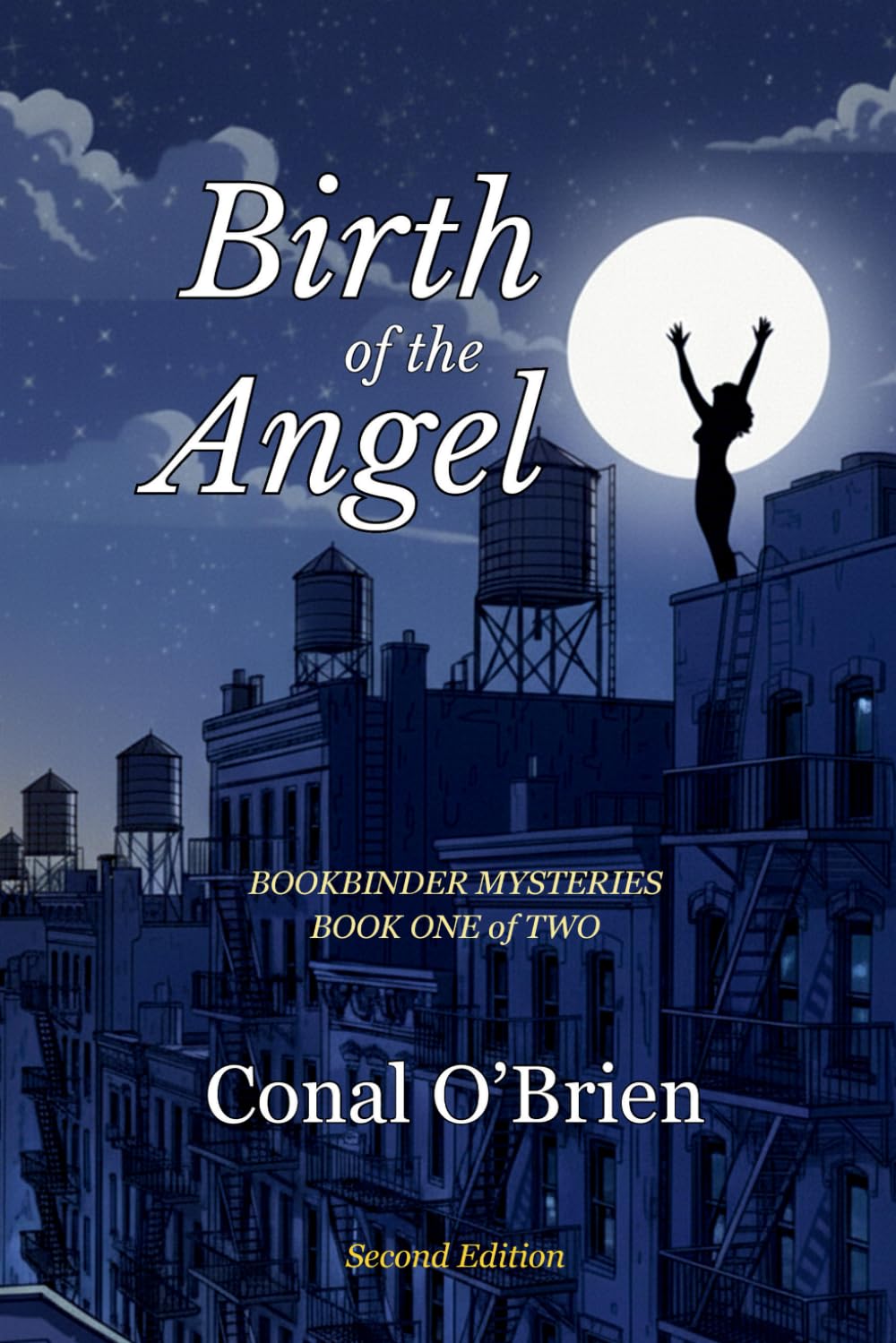 Birth of the Angel: Bookbinder Mysteries: Book One of Two