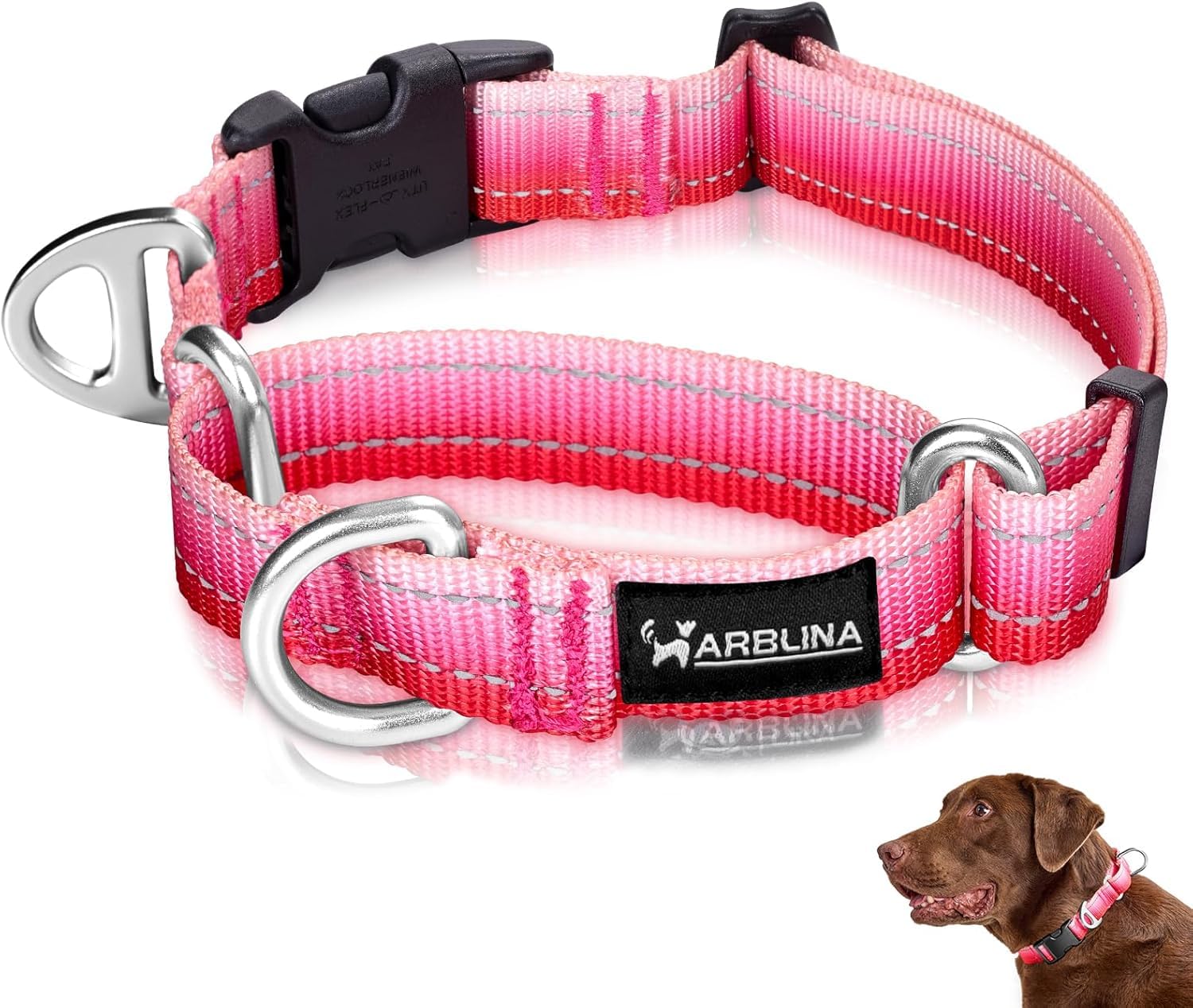 Arblina Martingala Collar reflectante para perros grandes, medianos y pequeños, ajustable, de nailon para Whippets Galgos, Saluki, American Bully, rosa, S