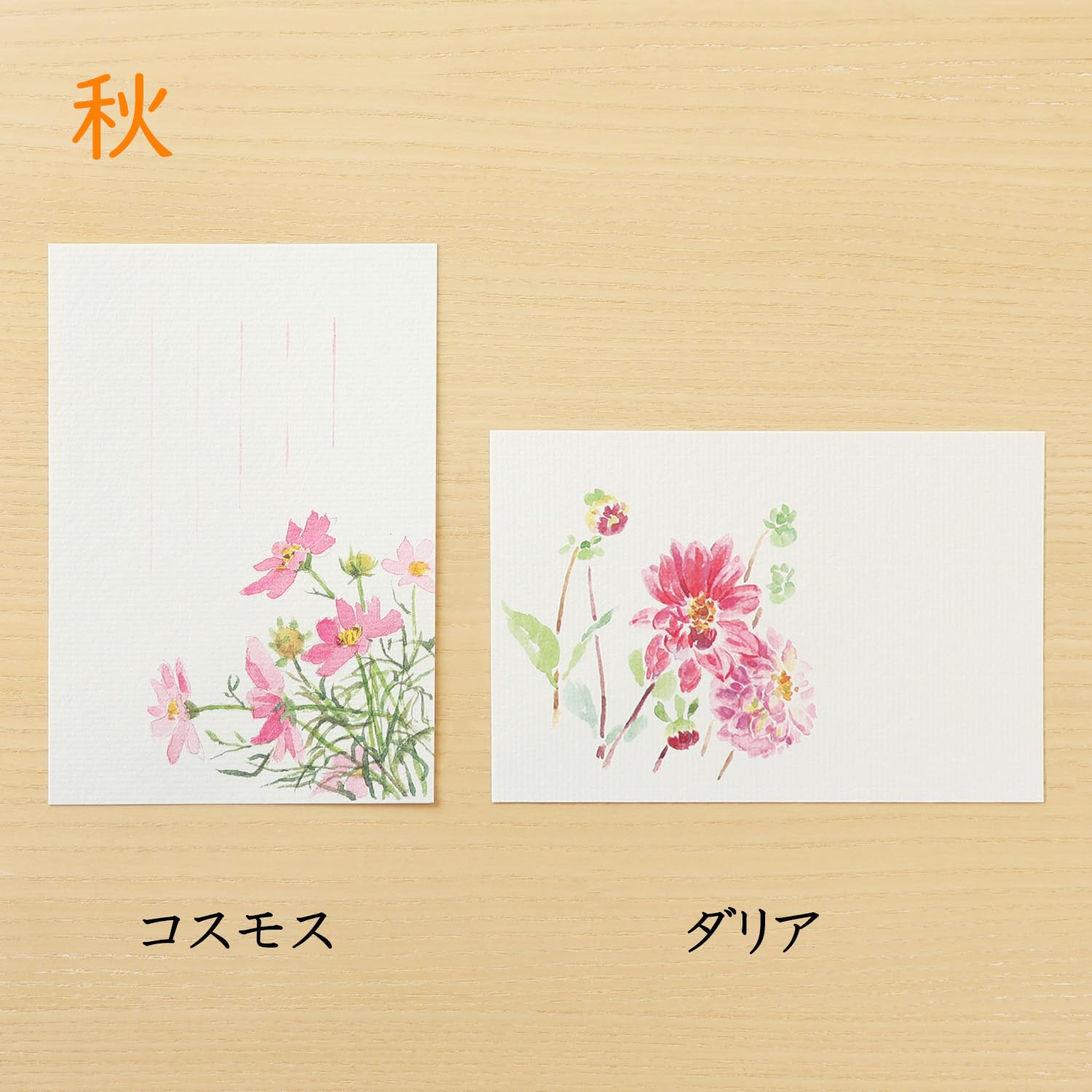 Amazon | めでたや 和紙 季節の絵はがき 四季セット 10枚入 | ポスト