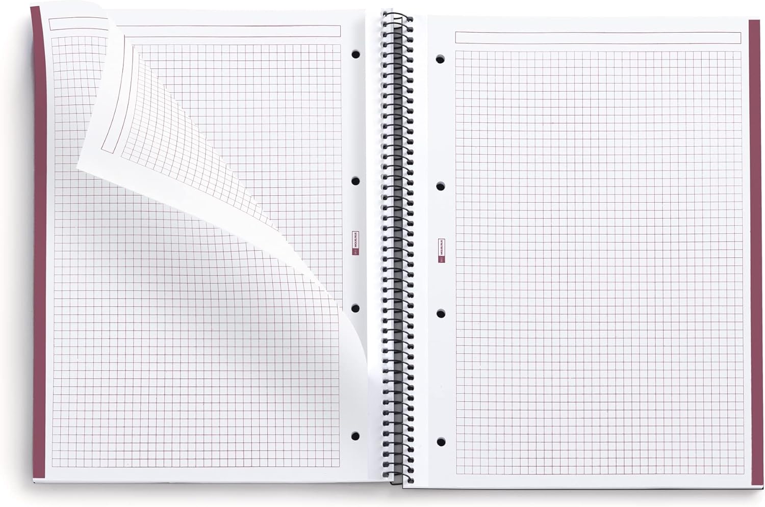 Miquelrius - Notebook A4, Notebook The Original Colors, 80 Sheets of 90 g/m², 1 Colour Strip, 5 mm Squared Notebook, 4 Holes, Hardcover Laminated Cardboard, Sand Colour