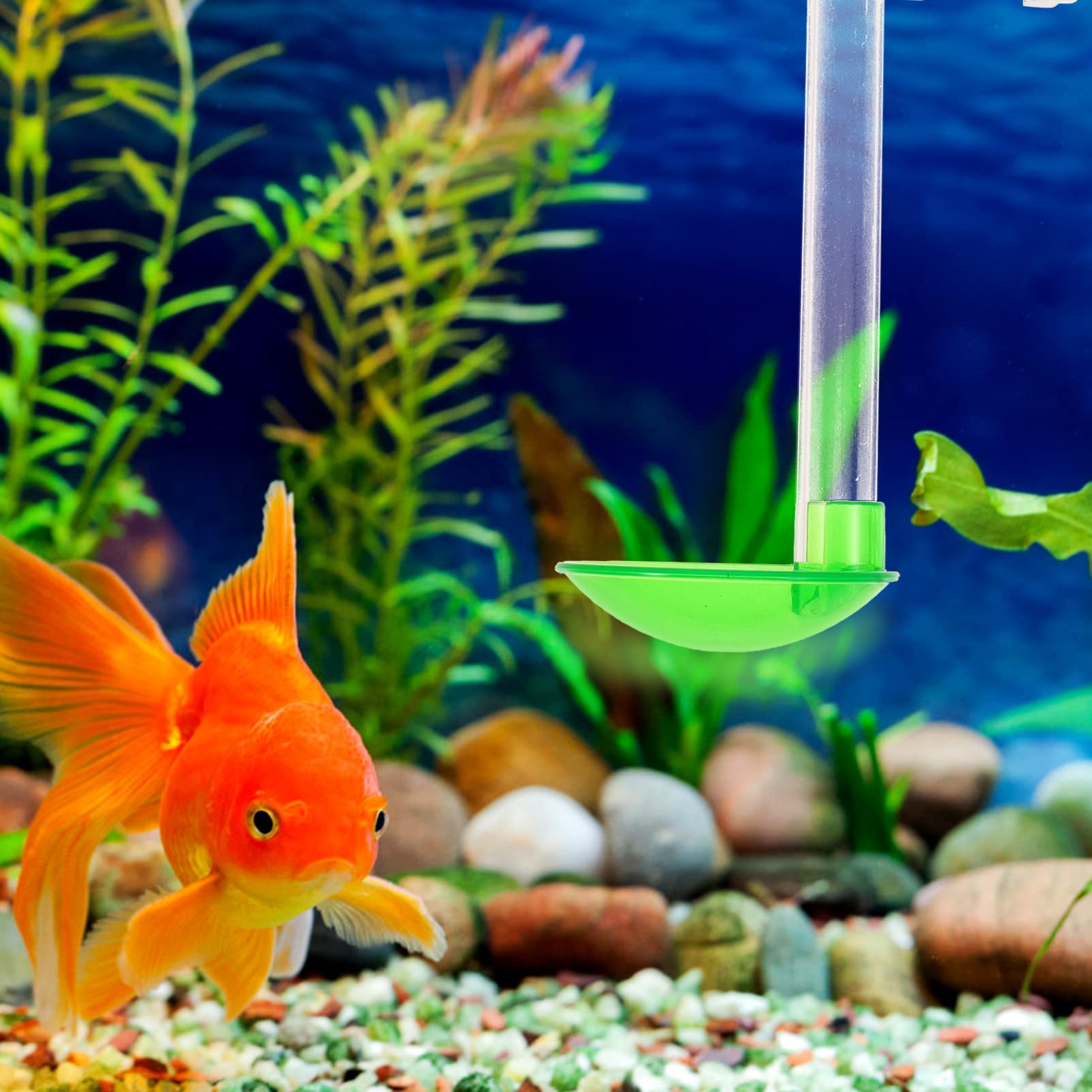 BESPORTBLE 3juegos Alimentador De Camarones Transparente para Acuario Comedero Práctico para Peces y Crustáceos Compatible Tanques Plantados y Organismos Acuáticos