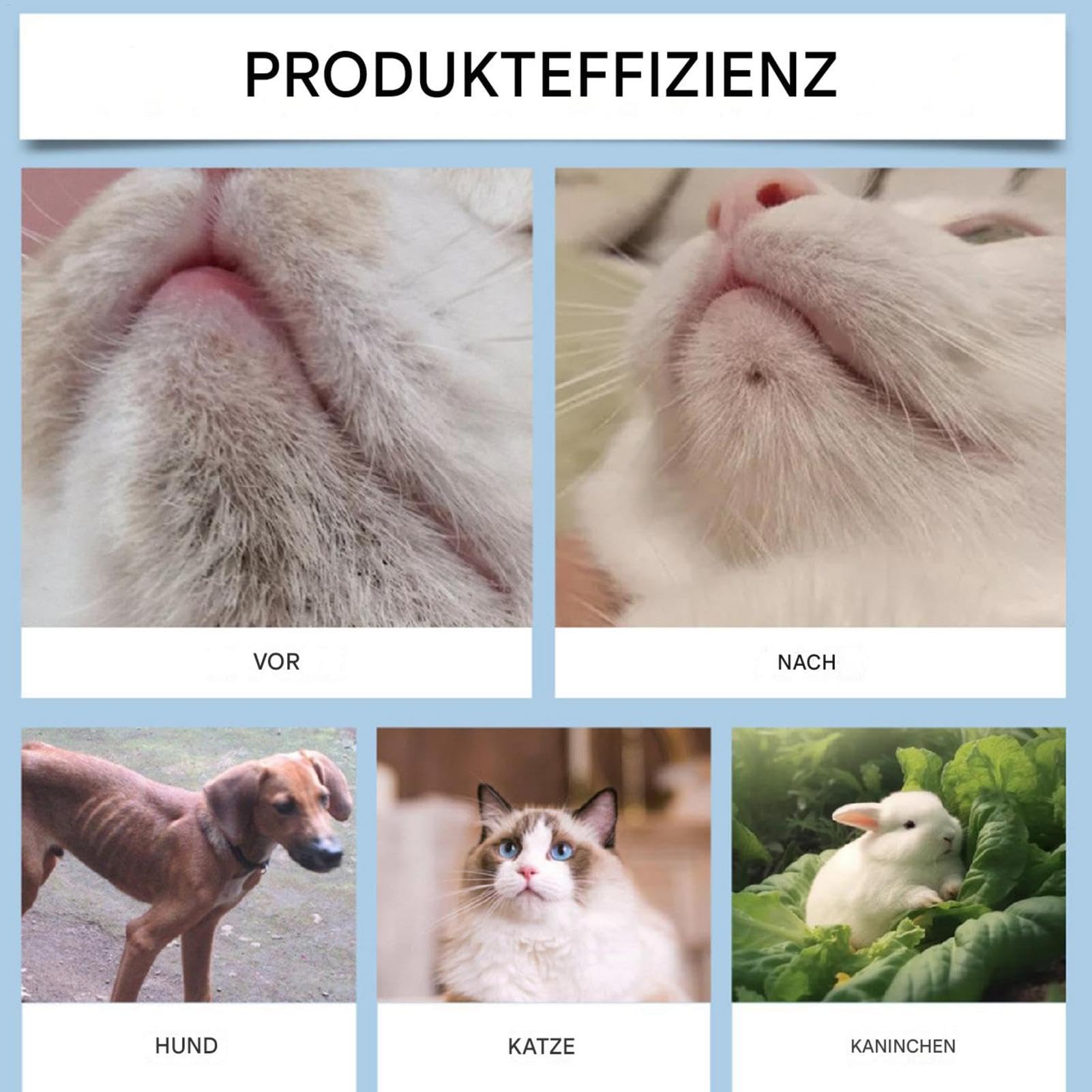 Crème pour l'acné de chat - 30 g - Kit de soins pour le menton et le menton - Avec brosse de nettoyage pour acné de chat - Élimine en douceur les points noirs - Nourrit l'animal de chat