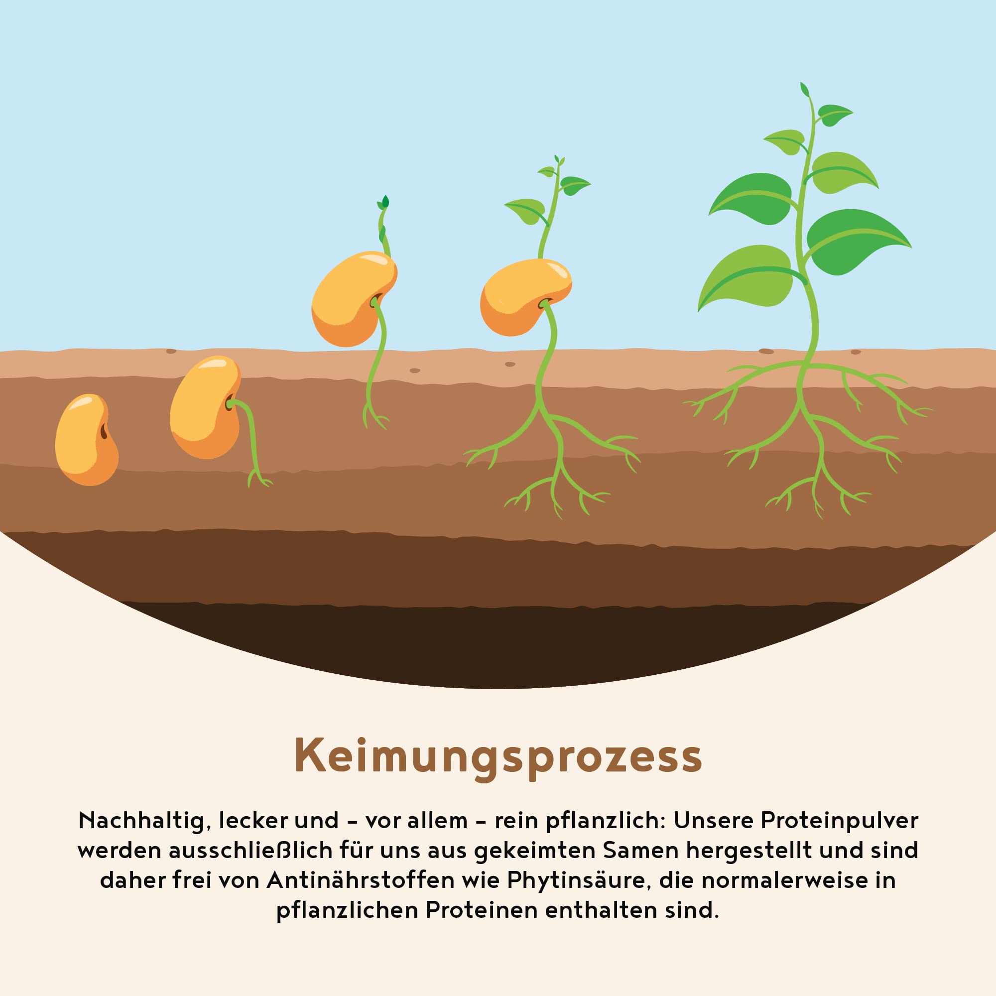 Veganes Proteinpulver | Cookie Dough | 30g Probierpäckchen Eiweißpulver | Produktprobe | Premiumqualität Protein | Made in Germany | Alpha Foods