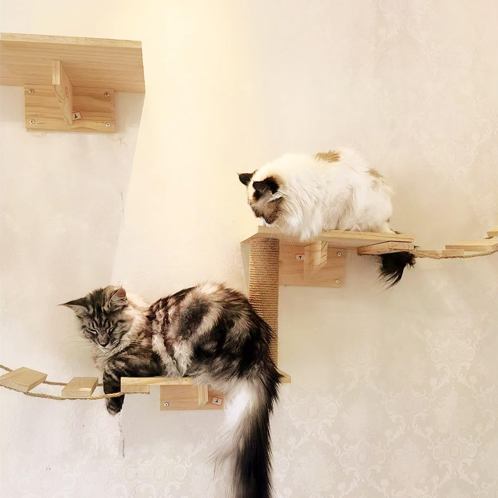Mensole Gatti, Mensole Salvaspazio per Gatti Montate a Parete, Tiragraffi per Gatti, Amaca per Gatti da Parete, per Arrampicarsi, Saltare, Graffiare e Rilassarsi(9pcs2)