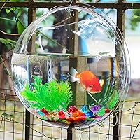 Vista 6 de Cuenco de peces de pared, peces de pared, para colgar en la pared, acrílico transparente, betta, acuario, pared, maceta, decoración