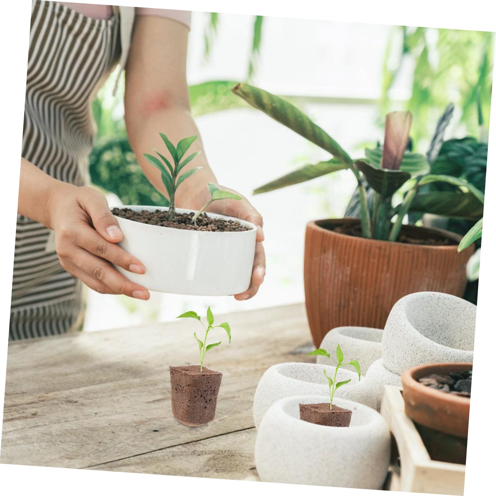 INOOMP 120pièces Cubes De Culture pour Plantes De Blocs De Hydroponiques Substrat Respirant Et Nourrissant pour Transplantation Réussie pour Jardinage Propagation des Plantes