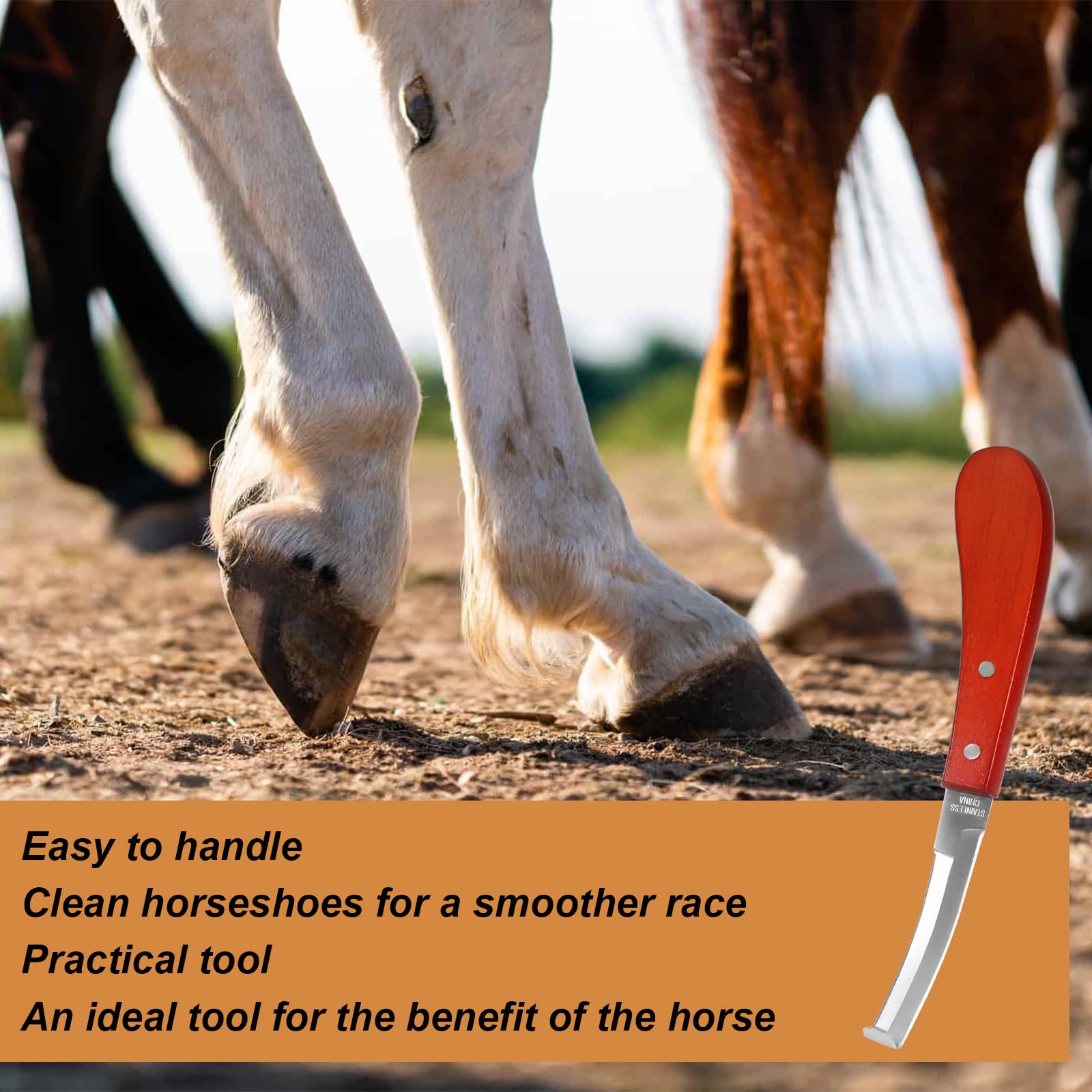 Horse Hoof Knife & Sharpener Kit -3 Horse Hoof Knife & Sharpener Kit -3