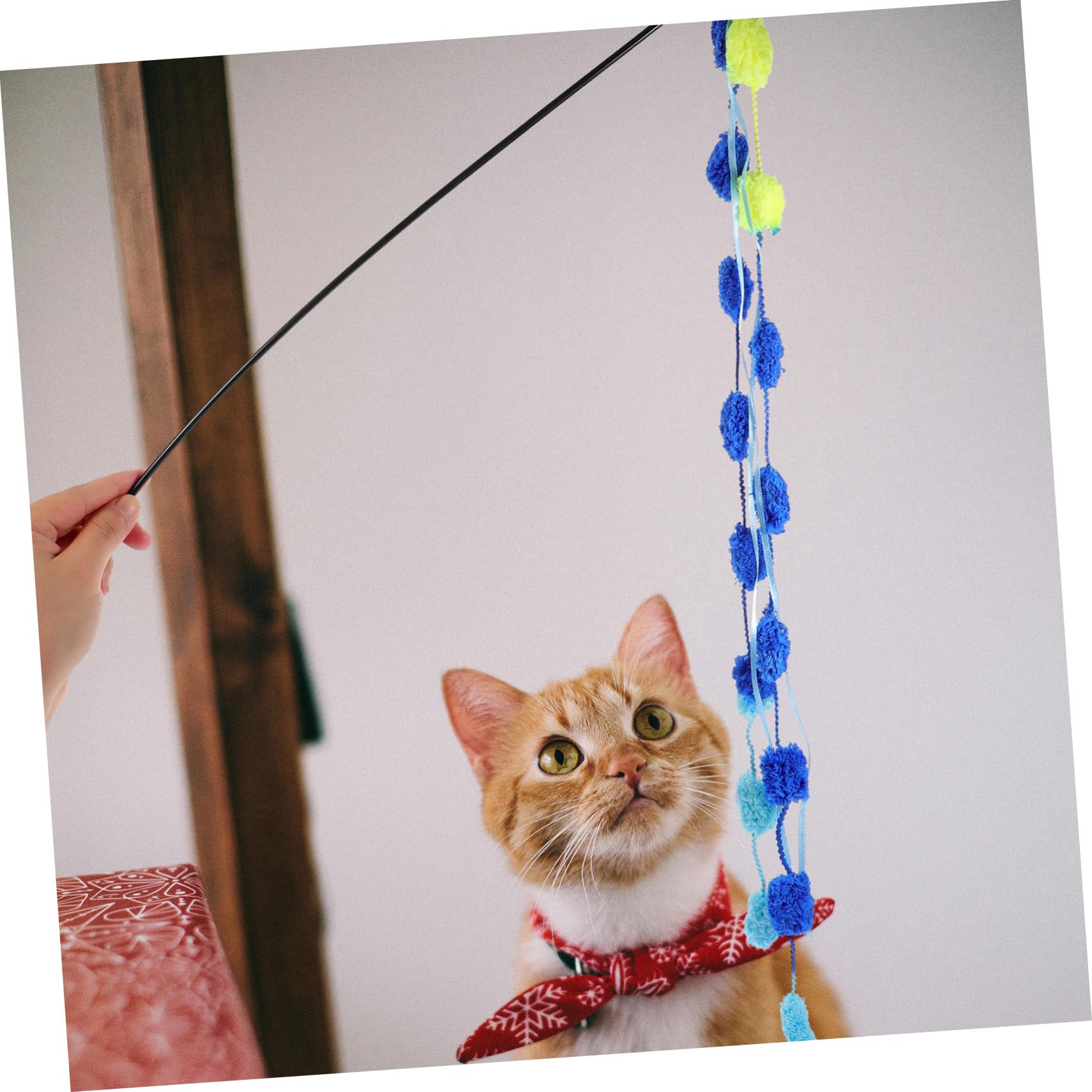 YARNOW 15 Pièces Chat taquin Interactive Cat Toy Fournitures de Chat on Jouets pour s interactifs Jouets interactifs pour s Jouet pour Plastique