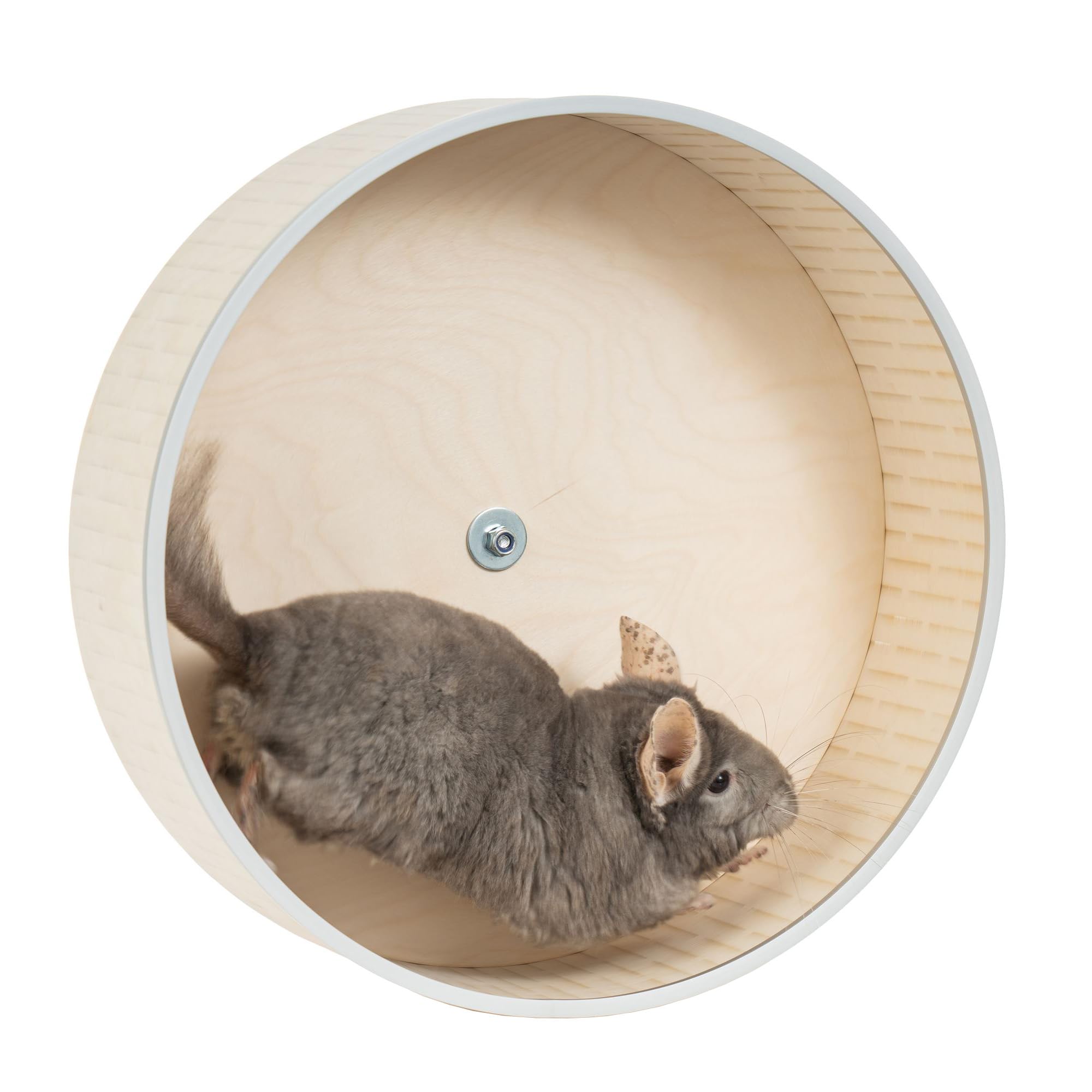 16" Silent Chinchilla Exercise Wheel