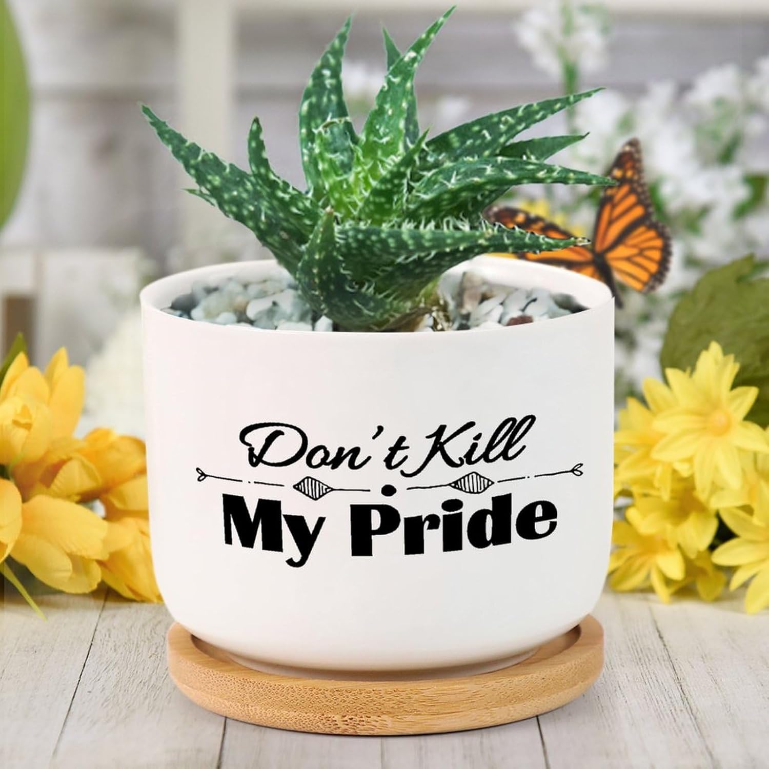 DreamAutumn Quote Saying Planters Ceramic Don’t Kill My
