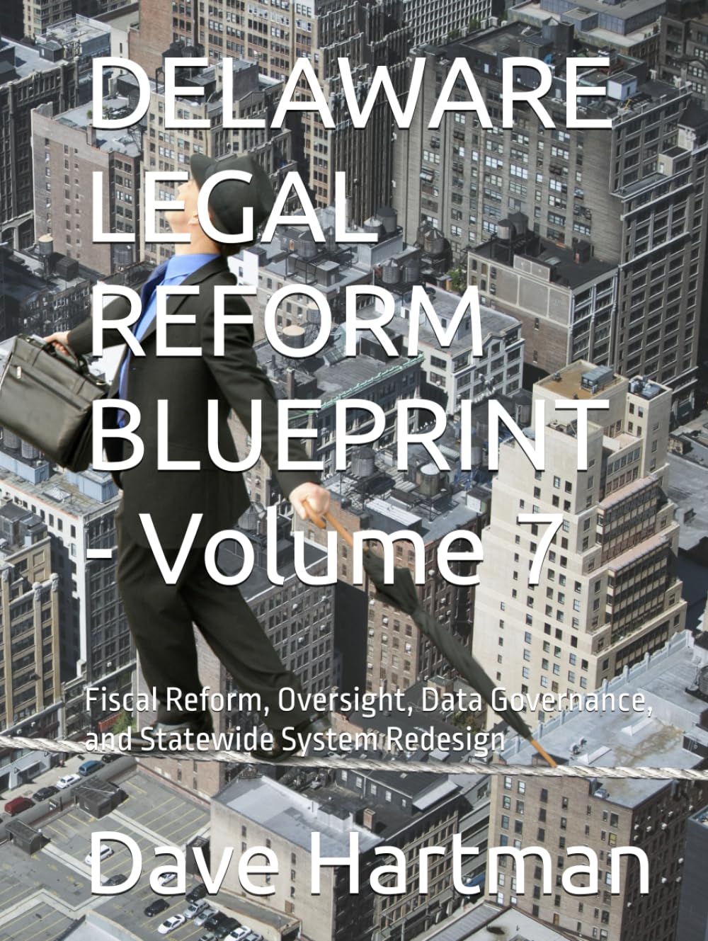 DELAWARE LEGAL REFORM BLUEPRINT - Volume 7: Fiscal Reform, Oversight, Data Governance, and Statewide System Redesign (Delaware Legal Reform Series)