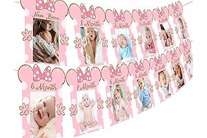 Cartoon Mouse Photo Banner: Capture Precious Moments with Style