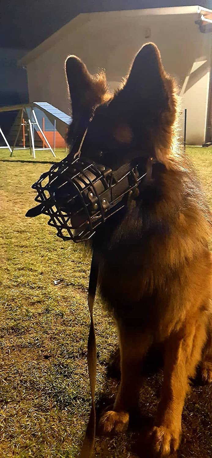 Bozal de metal de goma Dingo Gear para Malinois | Profesional, cómodo, universal, largos paseos S03048