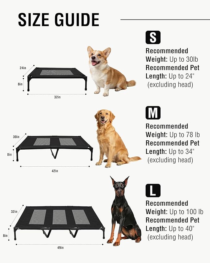 Cama Catre Elevada para Perro Grande con Superficie Transpirable miniatura 7