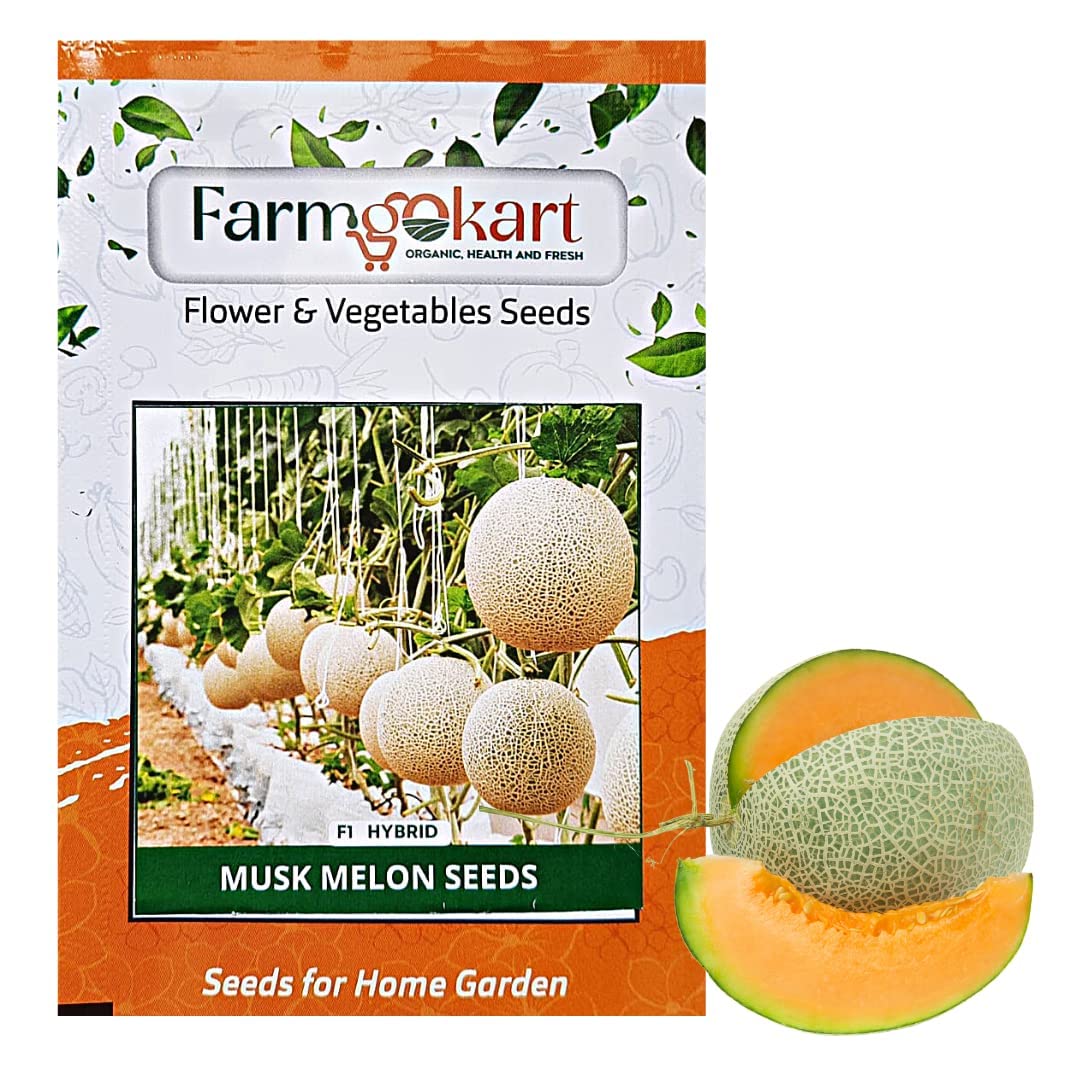 Farmgokart |MUSK MELON SEEDS (Appx 50 Seeds Per Packet) F1 HYBRID SEED | Best Suitable For Home Gardening | (B09NHTRP54) Amazon Price History, Amazon Price Tracker
