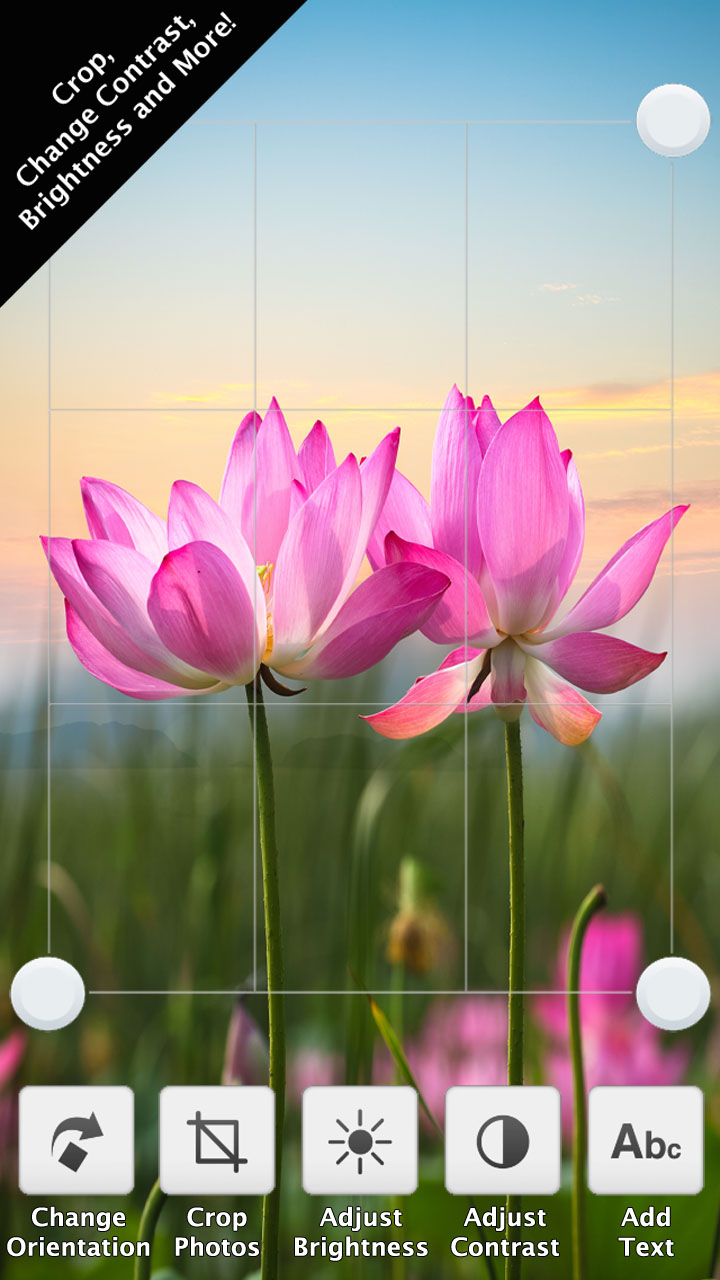Photo Editor+ - App on Amazon Appstore