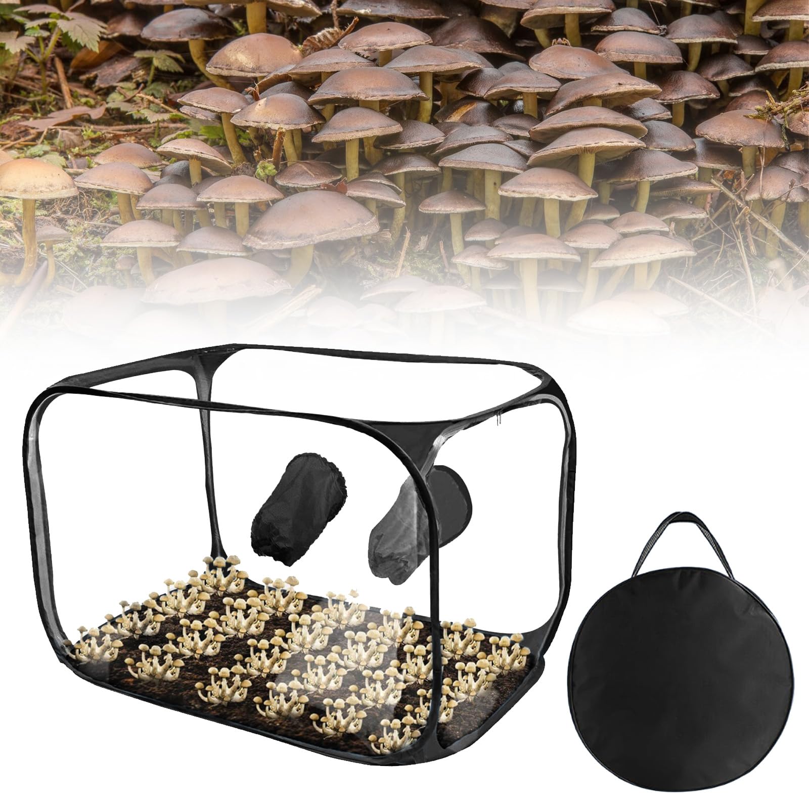 Still Air Box, Mushroom Grow Kit Tragbares Faltbares, PVC Pilz-Wachstums-Set mit 2 Arm Ports, Kompakte Standluftbox für Pilzliebhaber, Vielseitige Kultivierung für Gartenbaubedarf