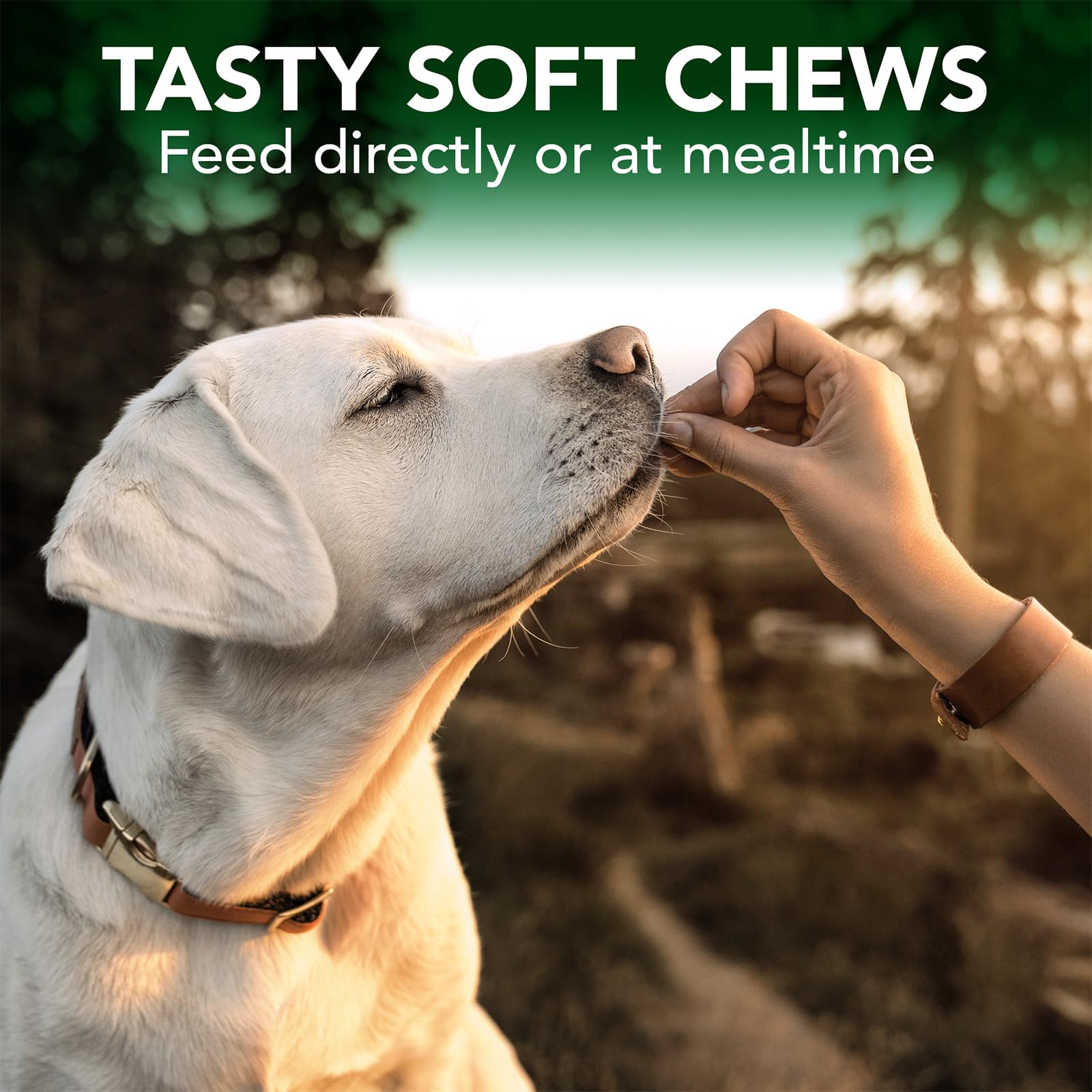 Vet's Best Seasonal Allergy Soft Chews for Dogs, Soothes Dog, 30 Day Supply — Amazon image 4