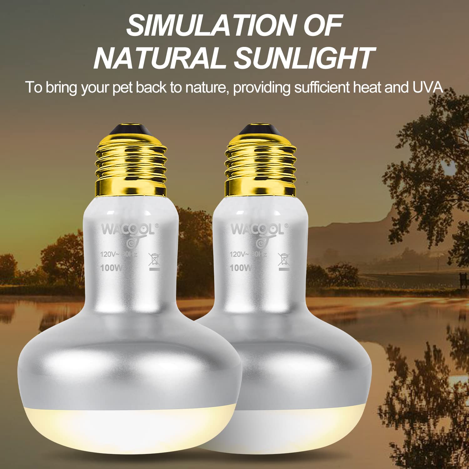 WACOOL 4 Pack Heat Lamp Bulbs for Reptiles, 100W Intense Basking Spot Lights, Simulate Daytime Sunshine Heat Bulbs, UVA Daylight Heat Lamp for Bearded Dragon, Lizard, Turtle, Tortoise, Gecko - image 2