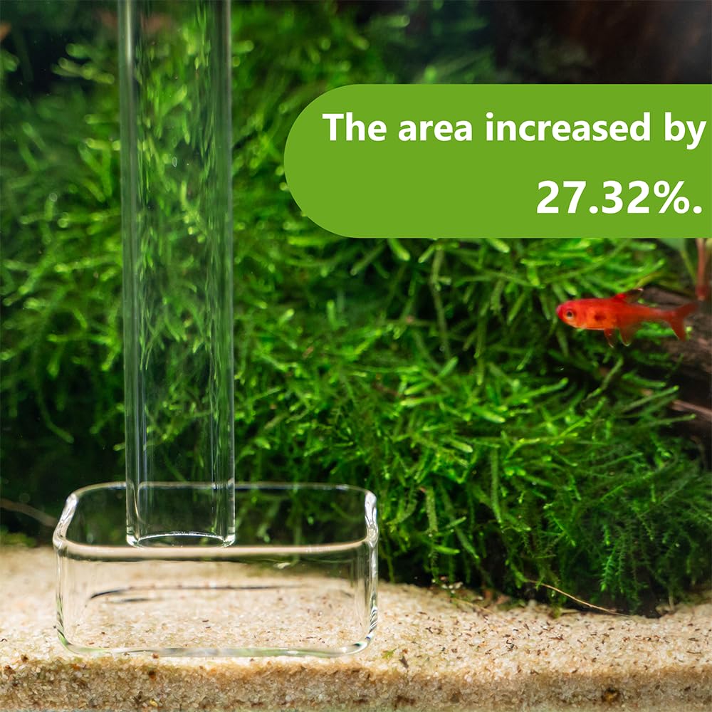 LINLAN Mangiatoia per gamberetti in vetro 30 cm tubo alimentazione acquario ciotola quadrata ventose