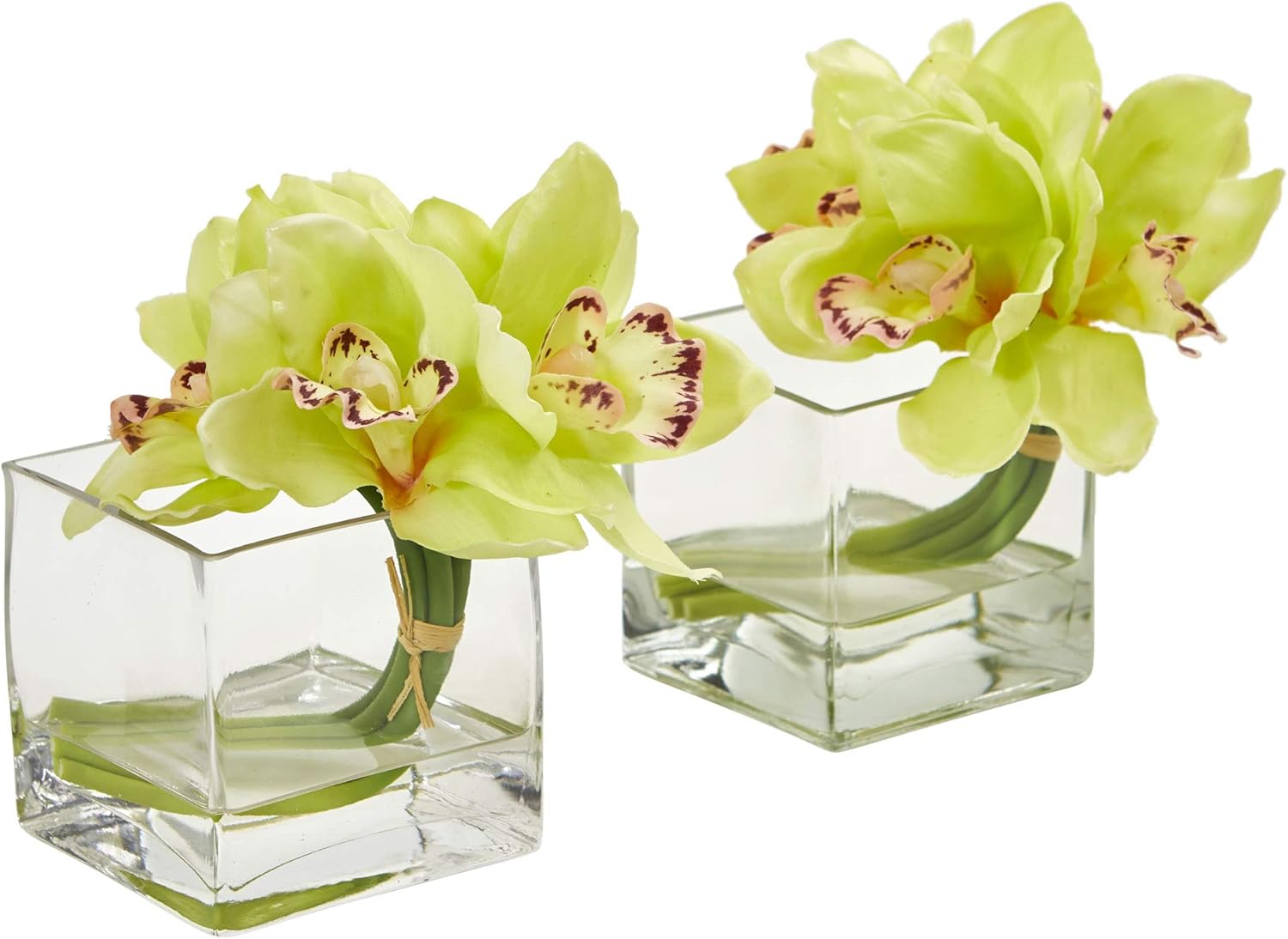 Nearly Natural Cymbidium Orchid Artificial Glass Vase (Set of 2) Silk Arrangements, Green