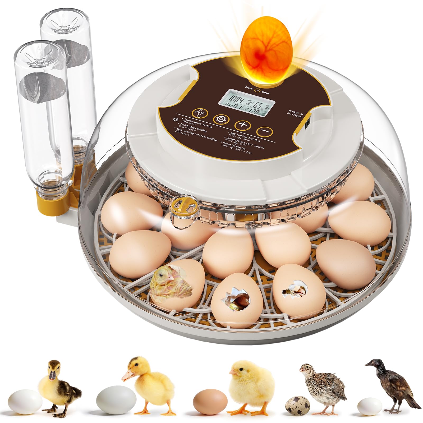 18 Egg Incubator FZRLS