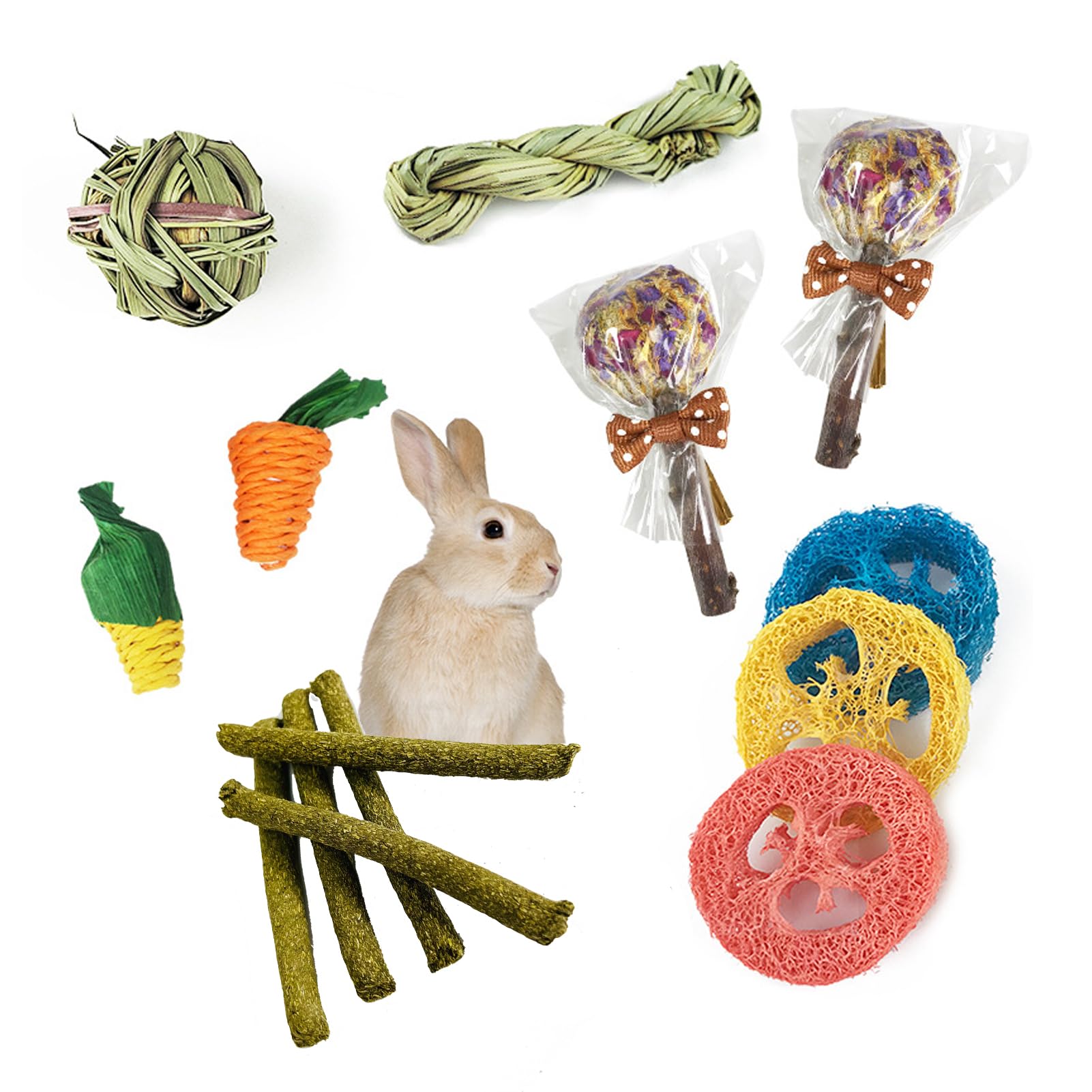 YUTUY 21 Pezzi Giocattoli Per Cani,Set Giochi Cane,Corda Cane Giochi Per Cani,Giocattoli Di - Foto 3