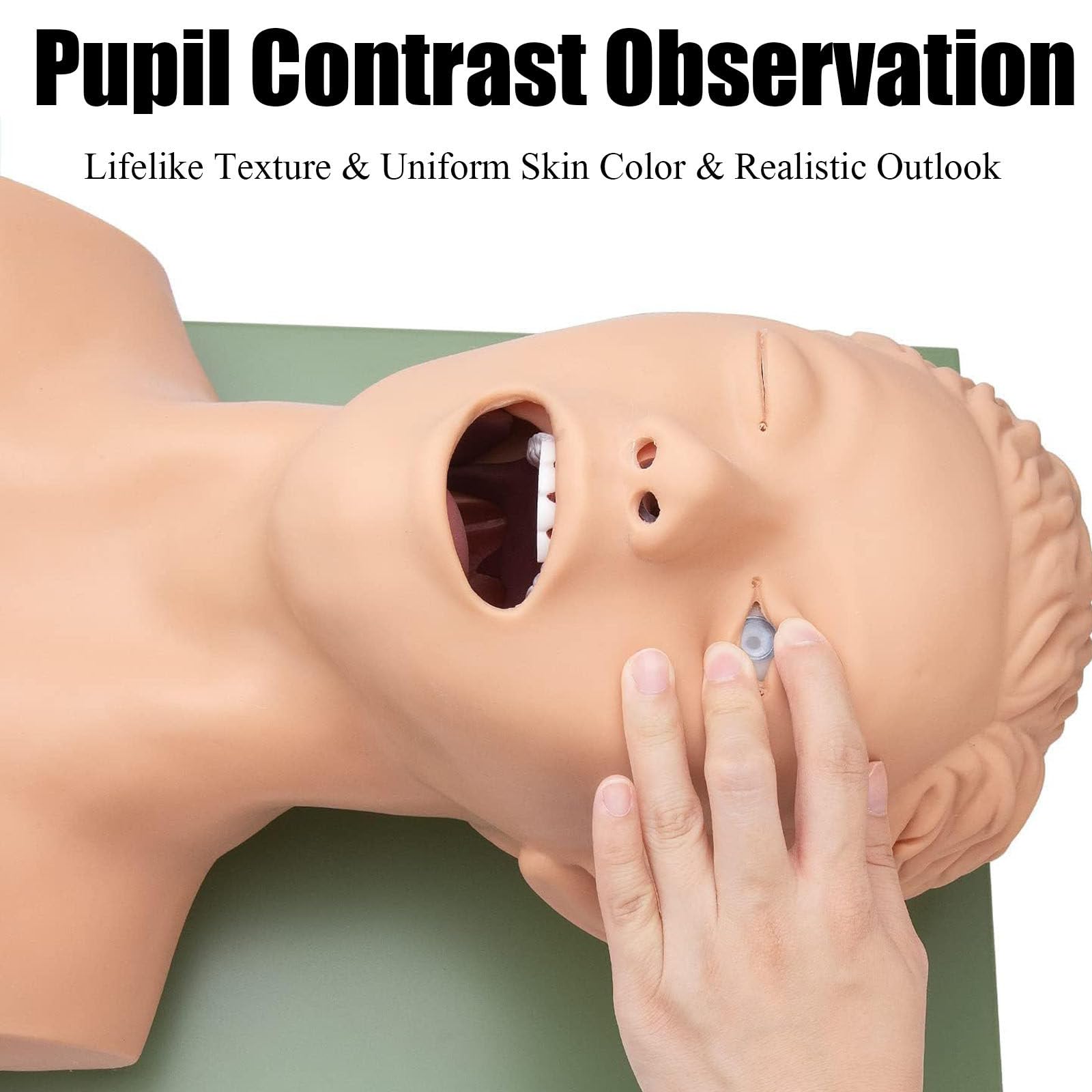 Intubation Manikin Training Krankenpflege Schaufensterpuppe,Erwachsene Intubationsmodell,Mit Zahnalarm-Gerät Simulator Atemwegsmanagement Trainer Intubation Head Lehre Unterrichtet