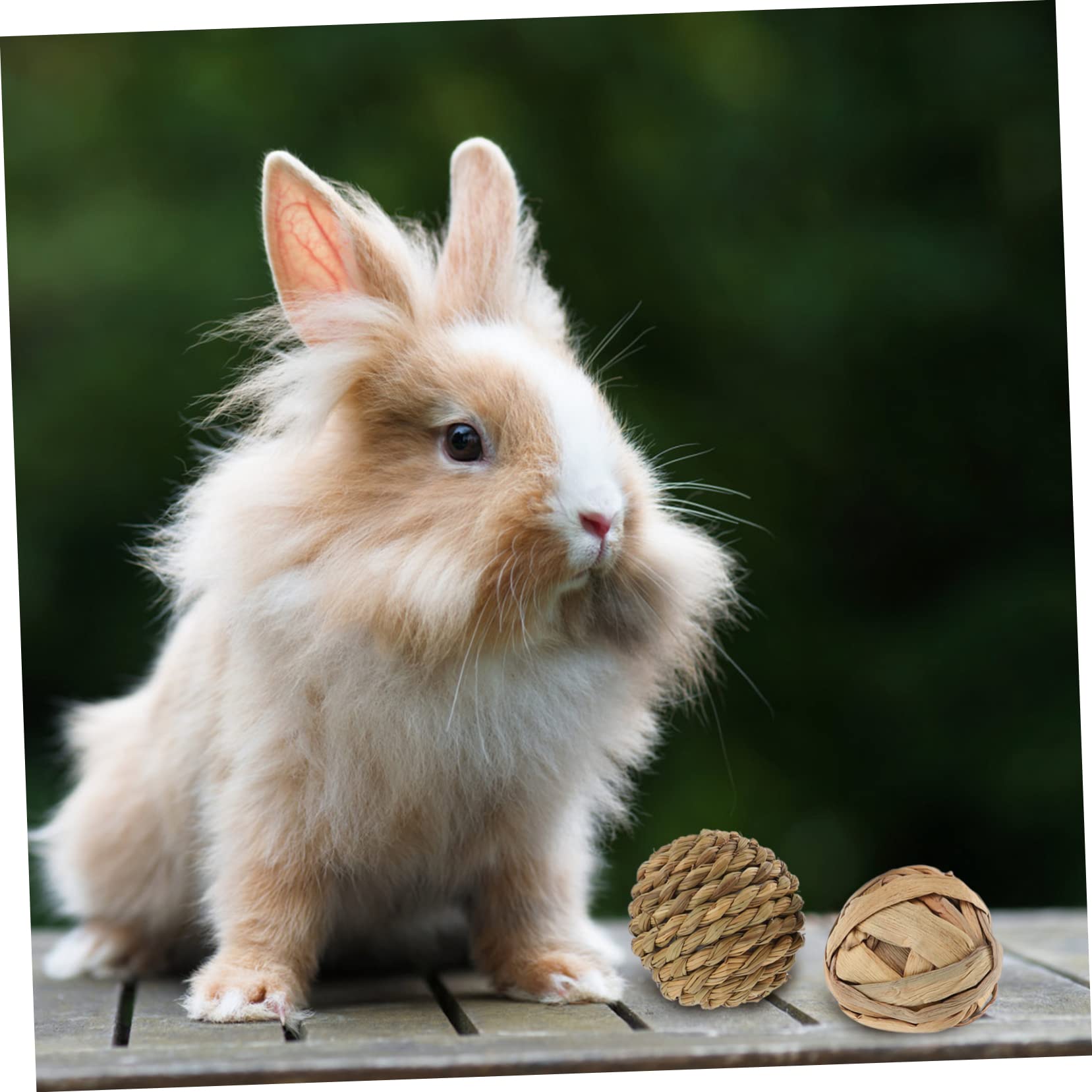 12pezzi Palline Intrecciate Per Animali Domestici Giocattoli Masticabili Naturali Per Conigli Pappagalli e Roditori Rattan Riduce La Solitudine e Favorisce Gioco