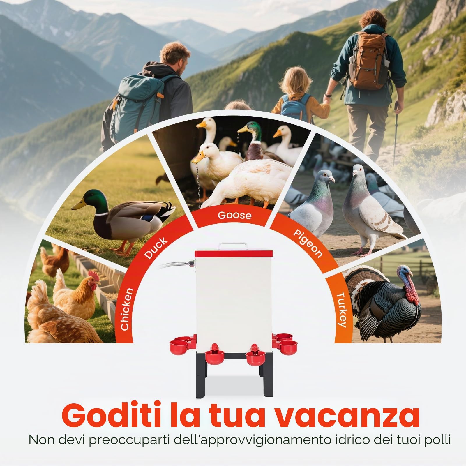 Abbeveratoio Automatico per Polli da 12L Distributore d'acqua per Pollame in Acciaio Inossidabile con Valvola Tazze d'acqua e Supporto Alimentatore per Acqua per Pulcini Anatre Oche Tacchino
