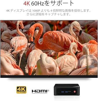 Amazon.co.jp: Beelink SER5 Max AMD Ryzen 7 5800H 32G DDR4 RAM 1T